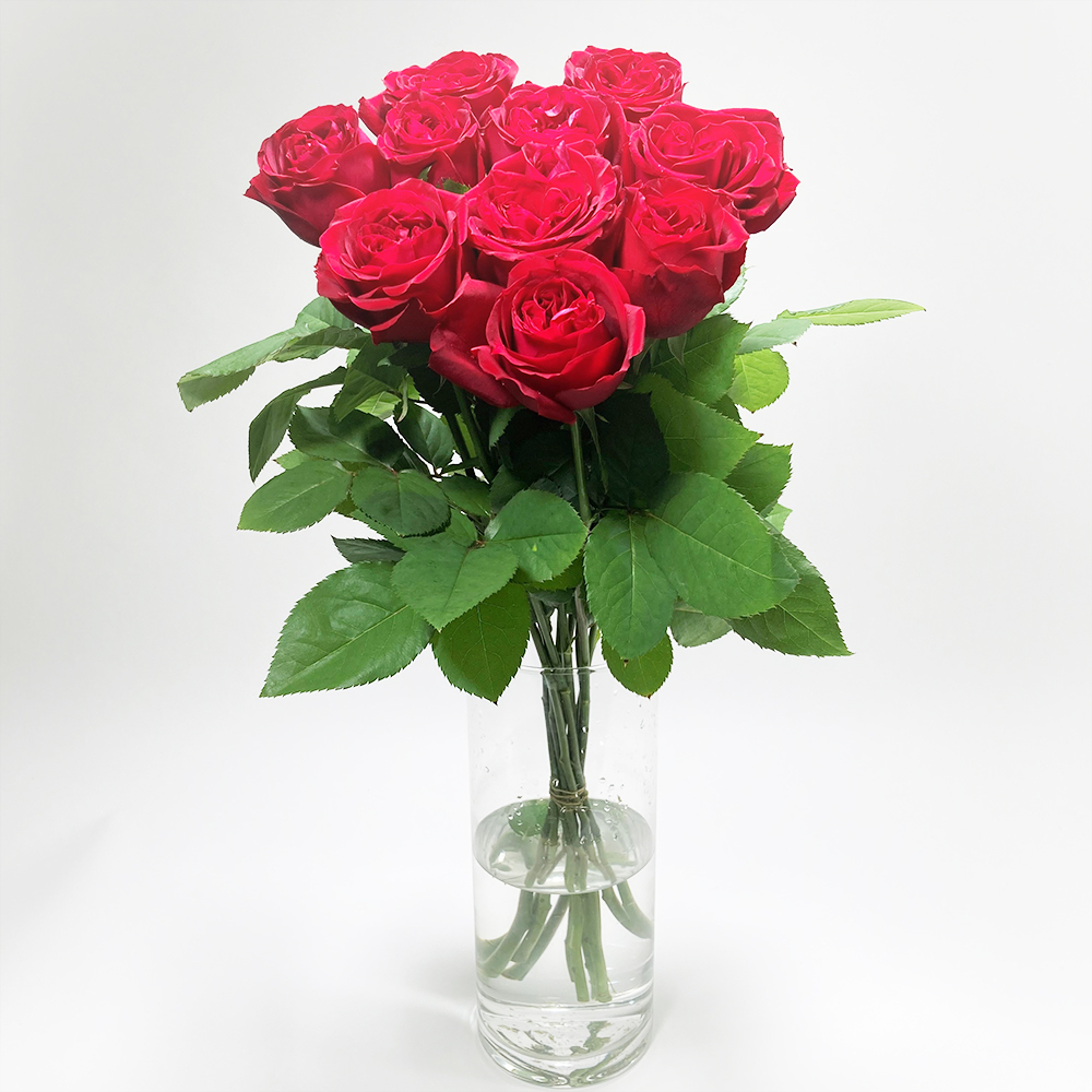 Rose レッドエレガンス 10本 Jaひまわり バラ部会 よいはな Yoihana 最高品質のお花をお届けするネット通販
