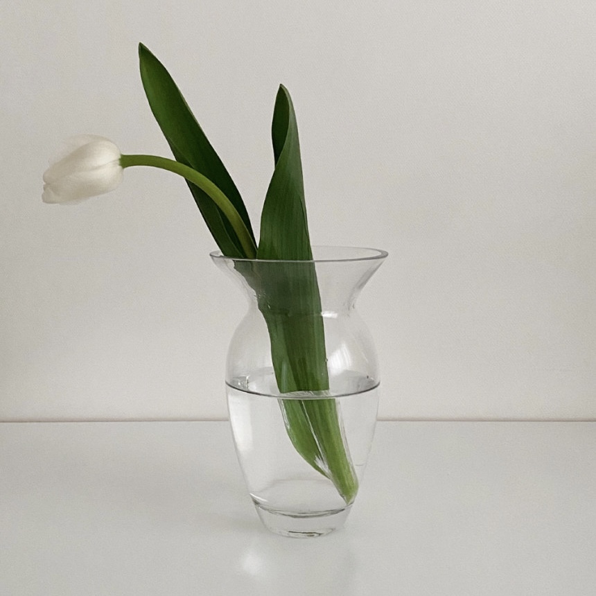 Vintage Antique St Tulip Glass Vase ヴィンテージ アンティーク調 チューリップ ガラス ベース つぼ形 花瓶 韓国 雑貨 Tokki Maeul トッキマウル 韓国雑貨通販サイト