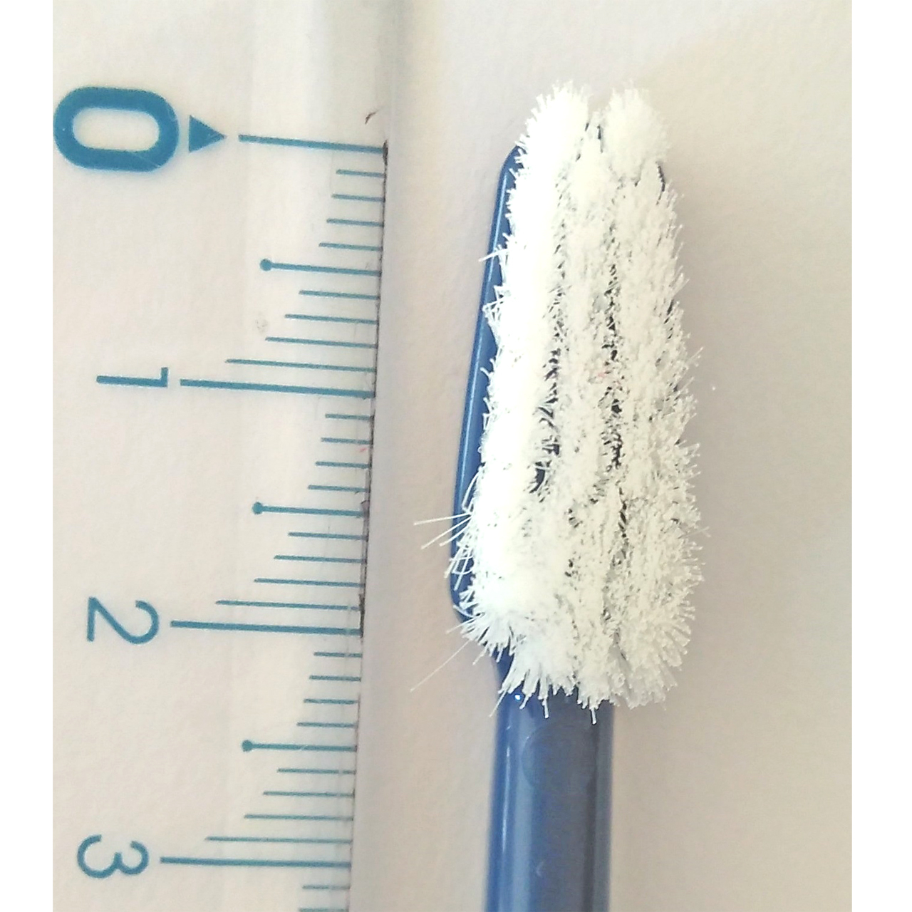 歯ブラシ 人間用ですが ワンちゃんにもオススメ 社福 日本介助犬協会チャリティグッズショップ