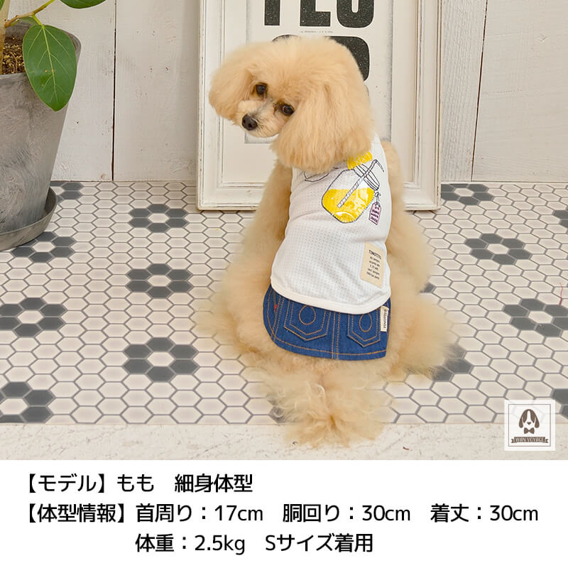 レモンメッシュタンク Xs S Tinotito ティノティート 犬服 ドッグウェア トイプードル チワワ ポメラニアン Tt21ss Tt 1 Wan Voyage ワンボヤージュ お洒落なドッグウェア 犬服のお店