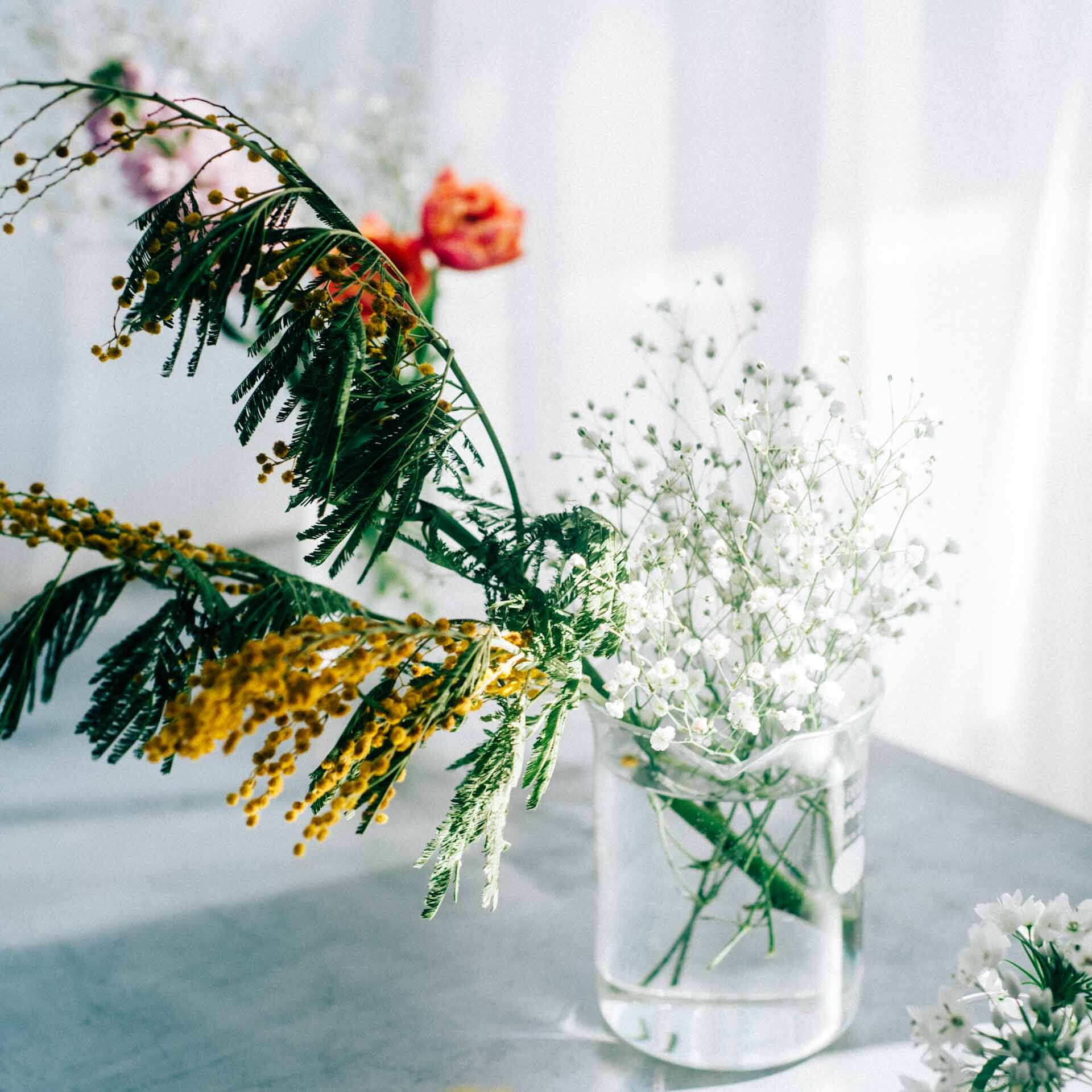 Hario ビーカー 1 000ml ハリオサイエンス公式通販