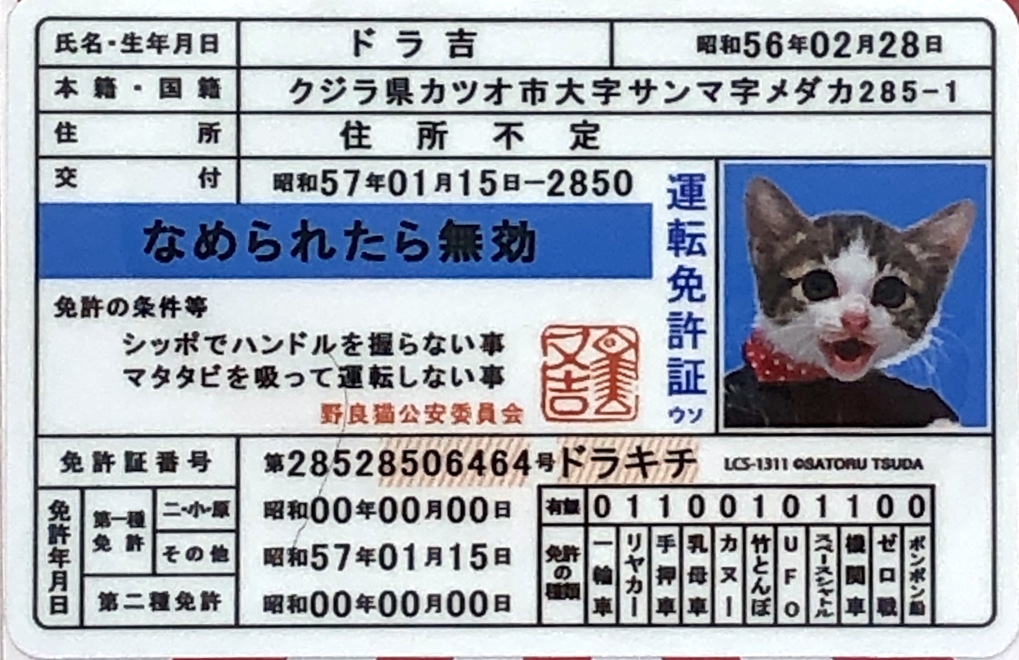 全5種セット なめ猫 ミニ免許証5枚コンプセット まとめ買い キャラクターステッカー 80年代 Nameset 新作 中古ブランド バラエティグッズ Avemania アベマニア