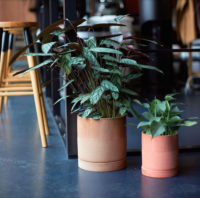 Ceramic Pot Farm Edla 16p 鉢カバー Yay Design Household Goods