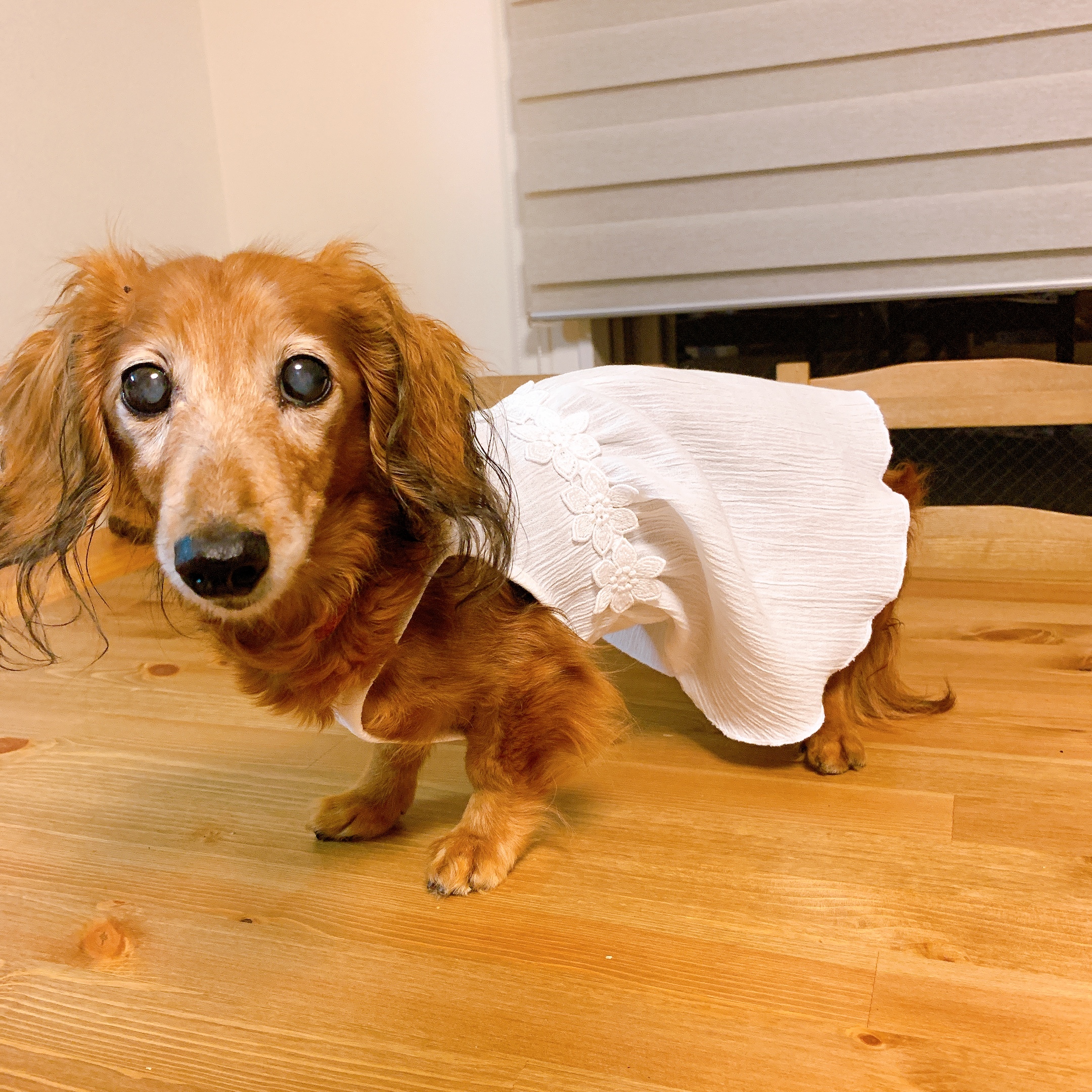 お嫁さんワンピース Gumiluken