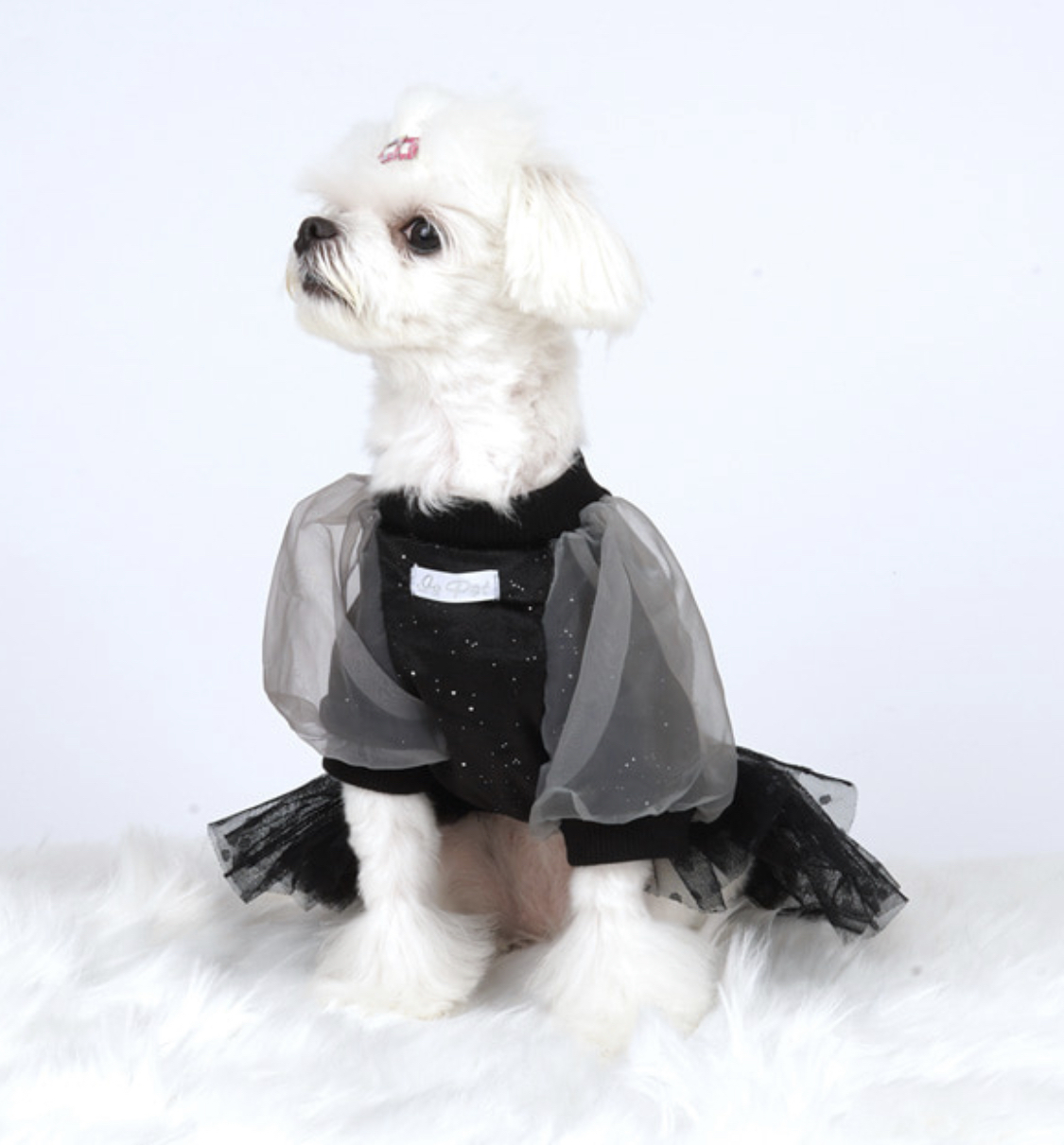 ベロアボリューム袖op S Xl 2color 犬服 ワンピース パーティー お出かけ 犬 服 ドレス おしゃれ ドッグウェア 可愛い ペット用品ショップ Nari Pet