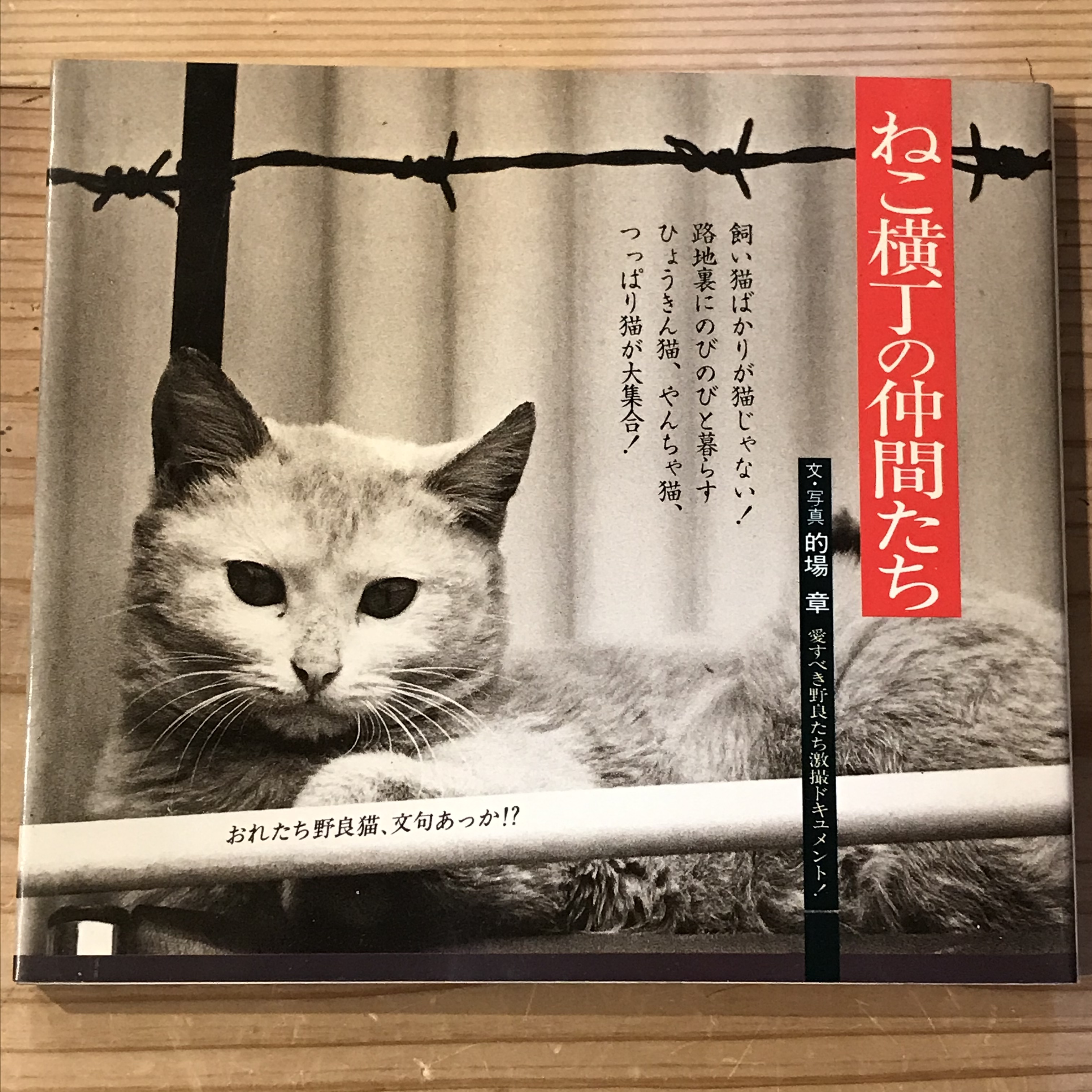 【古本】ねこ横丁の仲間たち　