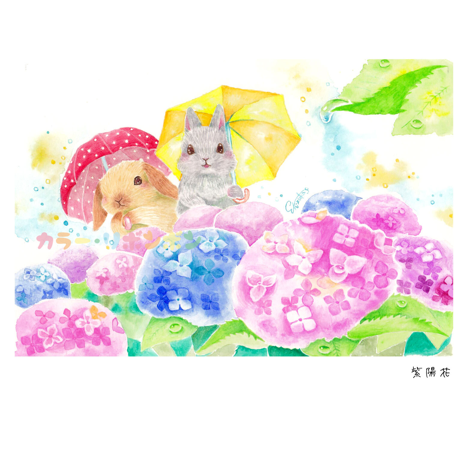 ポストカード 紫陽花 カラー リボンボン うさぎチンチラの水彩イラスト雑貨