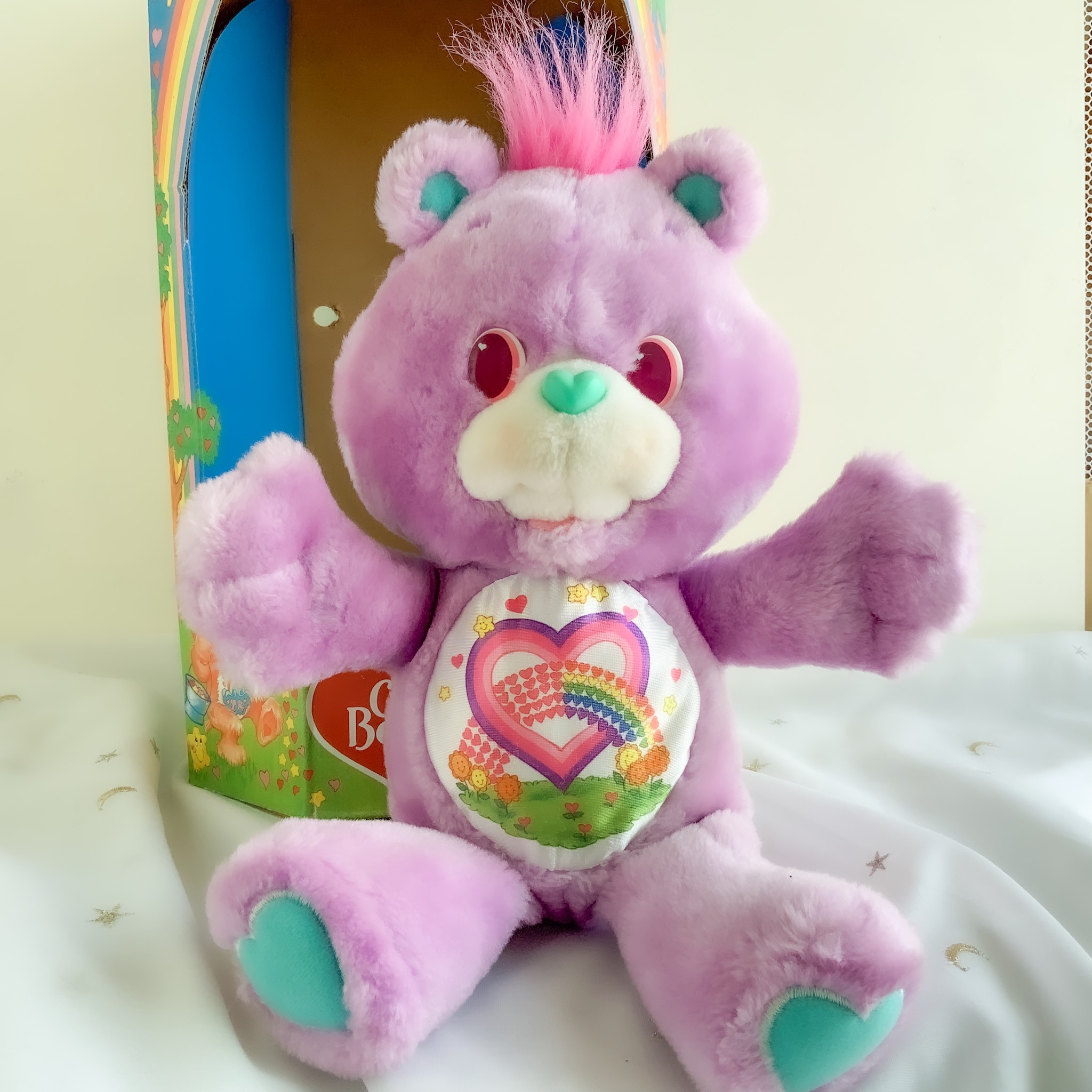 Care Bears 箱付き ケアベア環境ベア Shere Bear シェアベア ぬいぐるみ くまの輸入雑貨とハンドメイドのお店 ぬぬるす