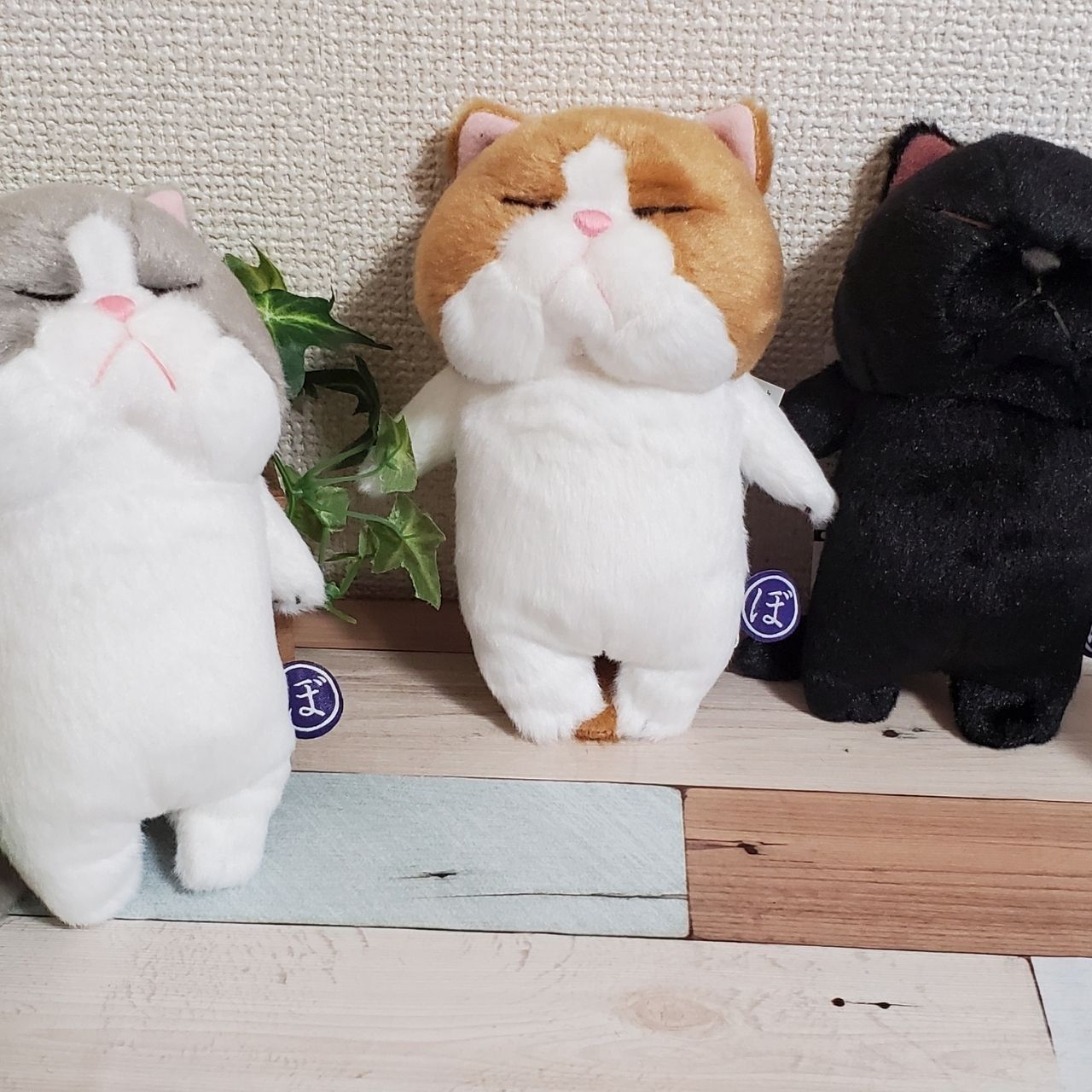 ぼうねこ 棒状のねこがかわいい寝姿の癒し系ぬいぐるみ いんかんと猫雑貨のお店 れいにゃん堂