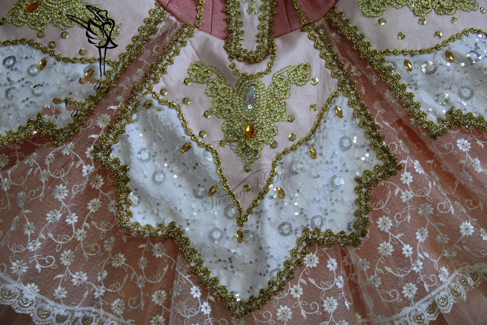 高級 バレエ 衣装 レオタード チュチュ ピンク 刺繍 親子 女の子 レディース Dance Dress Girl Ladies Antoinette