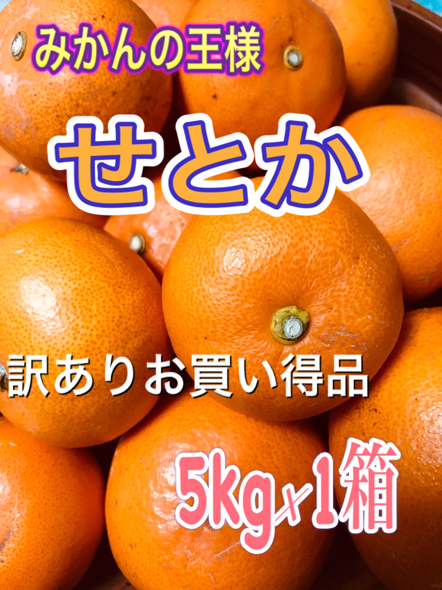 大人気の せとかみかん 訳ありお買い得品 5 1箱 Marchais