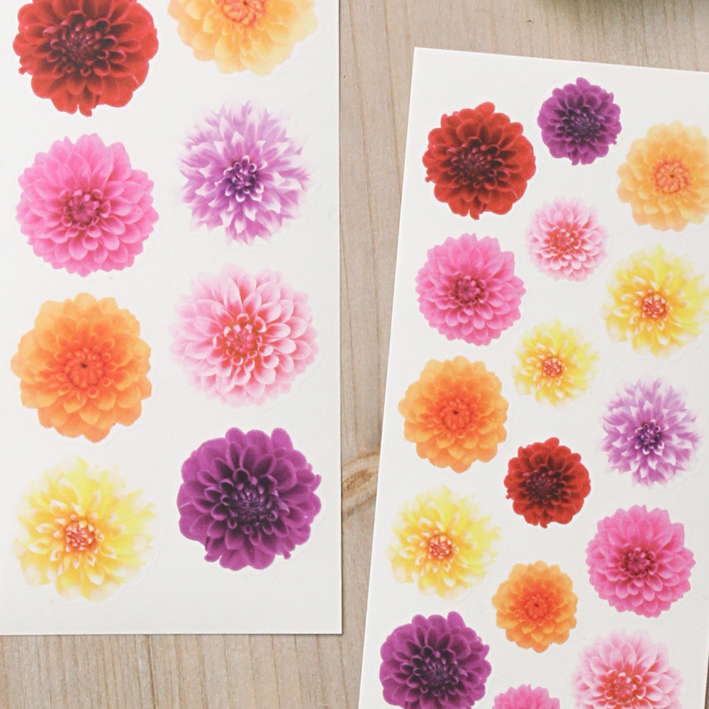 透ける花シール ダリア フラワー 2枚組 G043 だいし屋