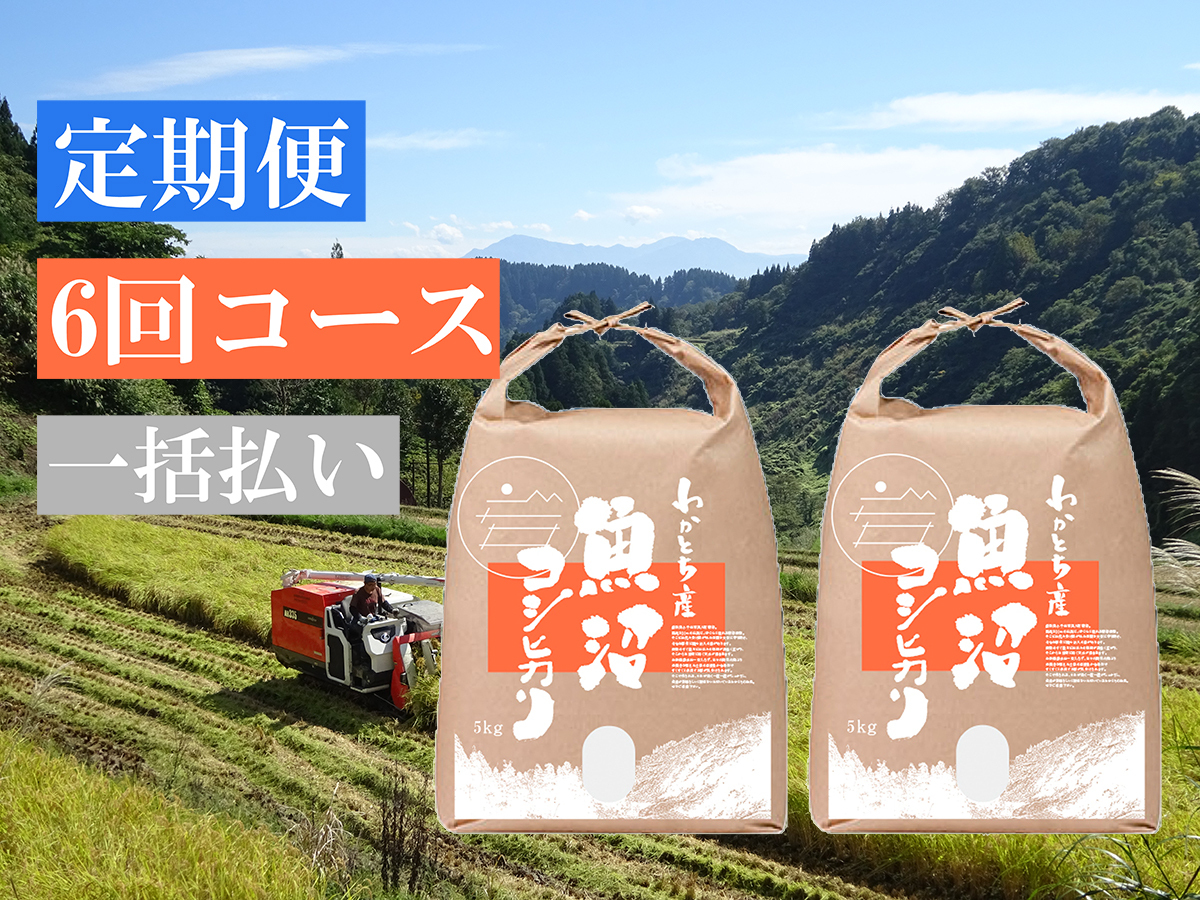 定期便 6回コース 令和2年産米 魚沼コシヒカリ 特別栽培米 10kg 一括払い わかとちの暮らしおすそわけ