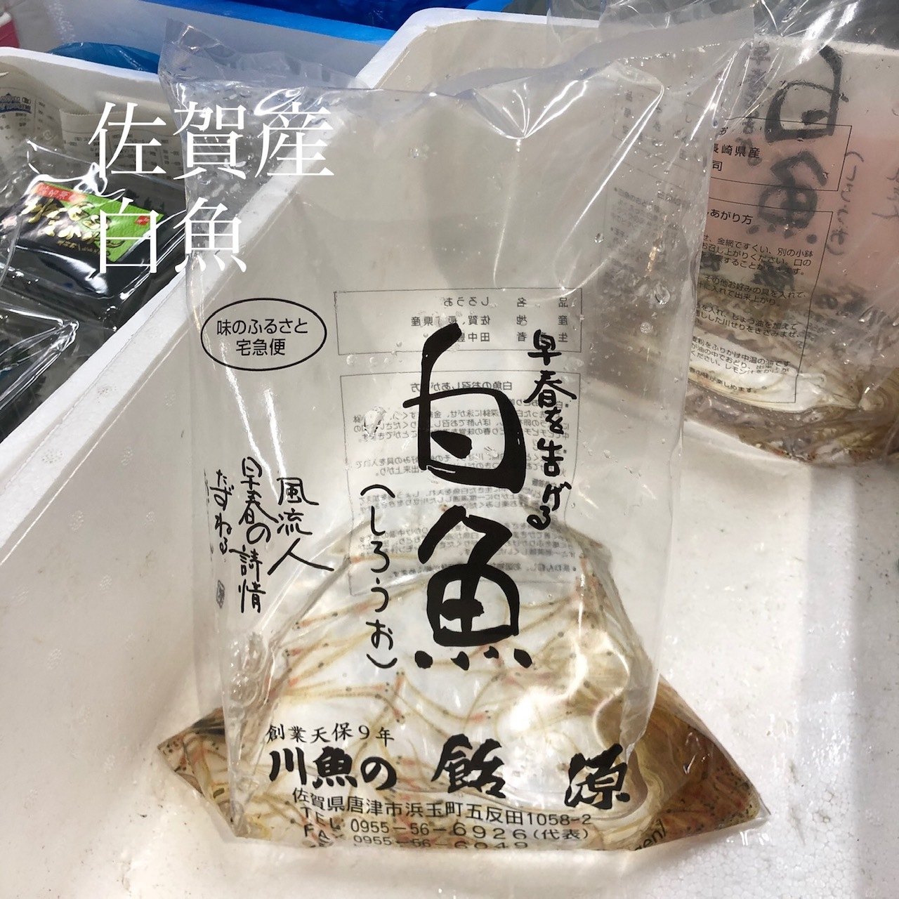 活しろうお 白魚 素魚 佐賀産 他 いさざ 50g袋 豊洲直送 活白魚ｘ１ 冷蔵 シロウオ Okawari 豊洲直送の高級海産物をお届け