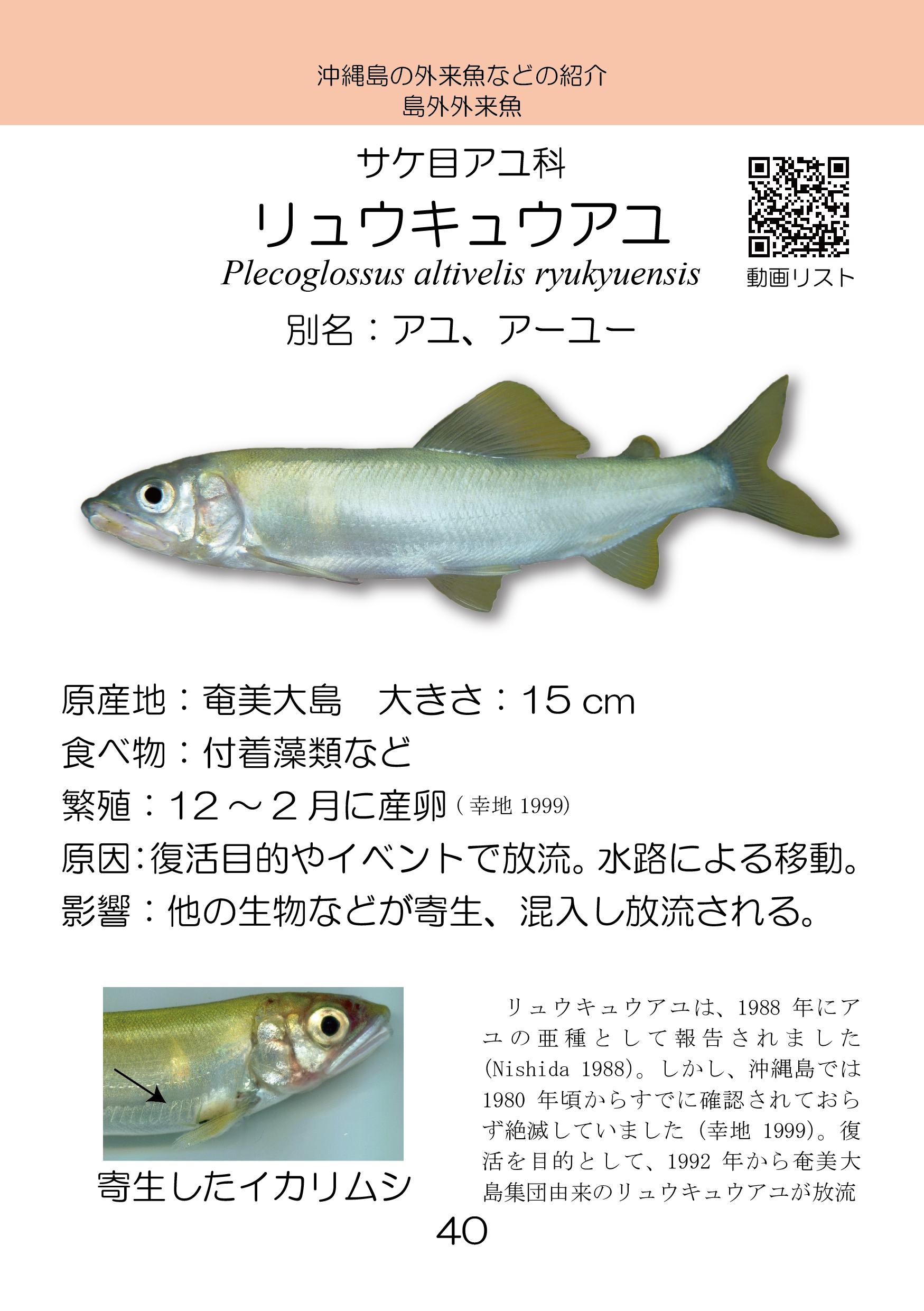 新版紙書籍 沖縄島の外来魚ガイド第三版 しまづ外来魚研究所オンラインショップ