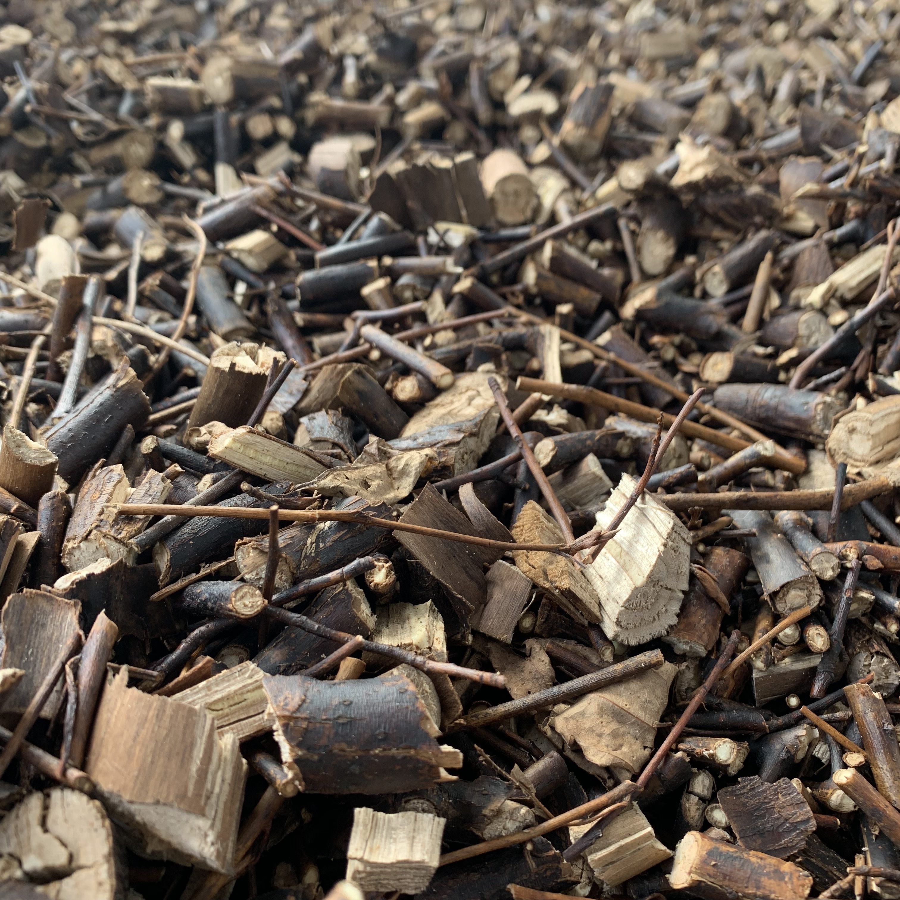 アロマウォーター クロモジ 木部 100ml Mytreee