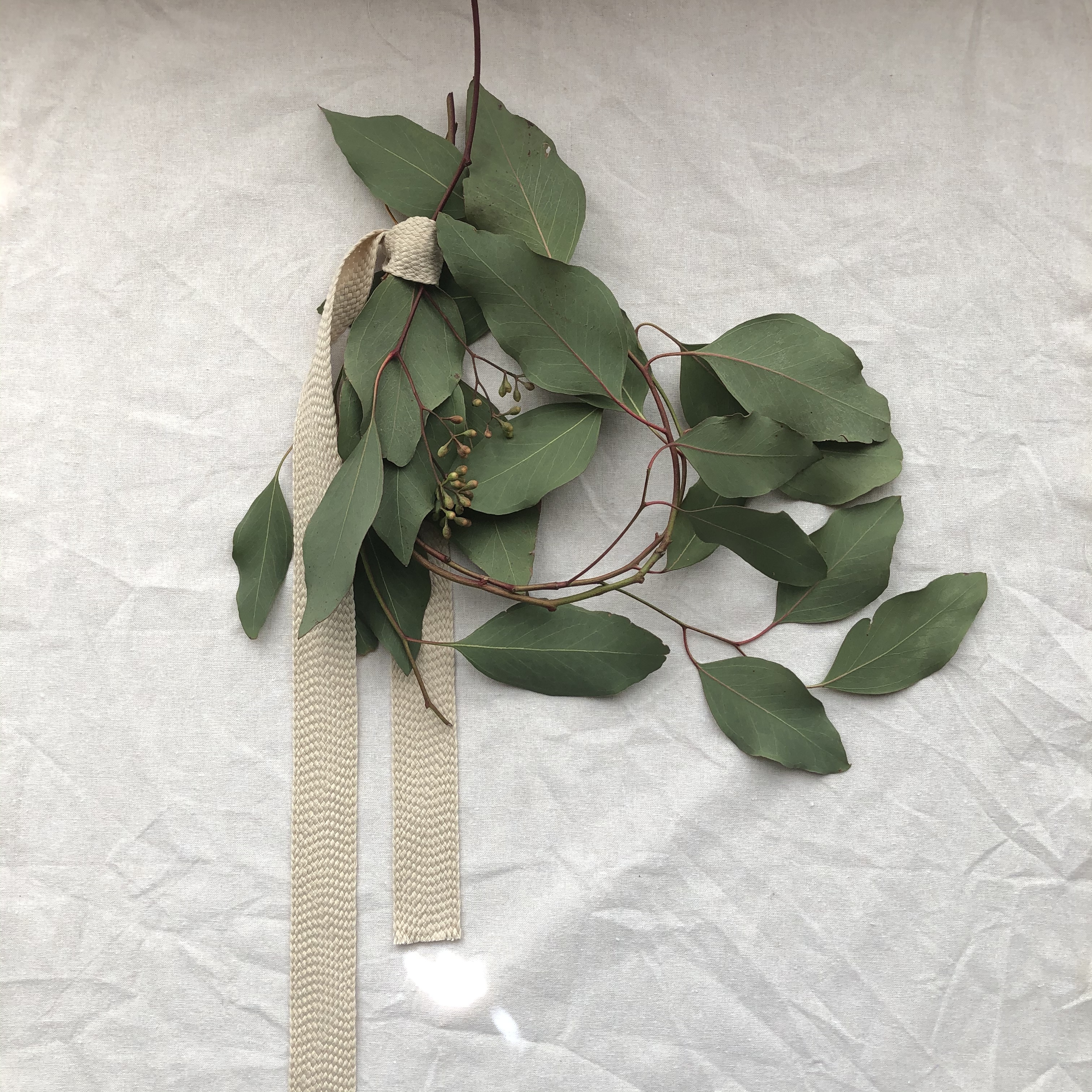 ナチュラルなリボンとシンプルなユーカリのリース Sweetmarron