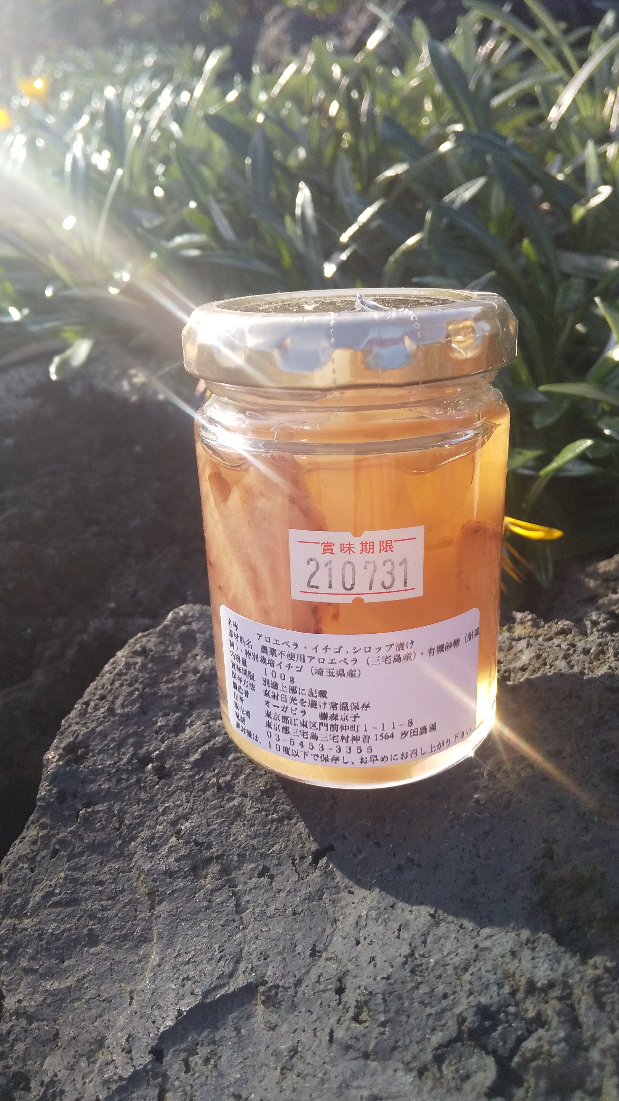 新食感 アロエ いちごシロップ漬け １瓶 汐田 ファーム