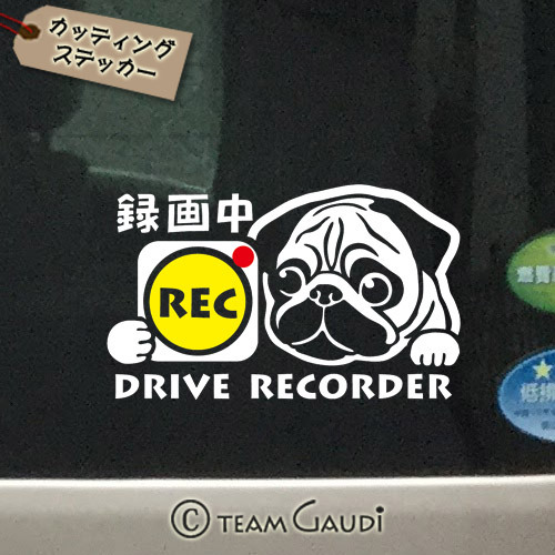 ドラレコ ステッカー パグ デザインa ステッカー 犬 ミックス犬 ドライブレコーダー録画中 煽り運転防止 シール 工房 Team Gaudi