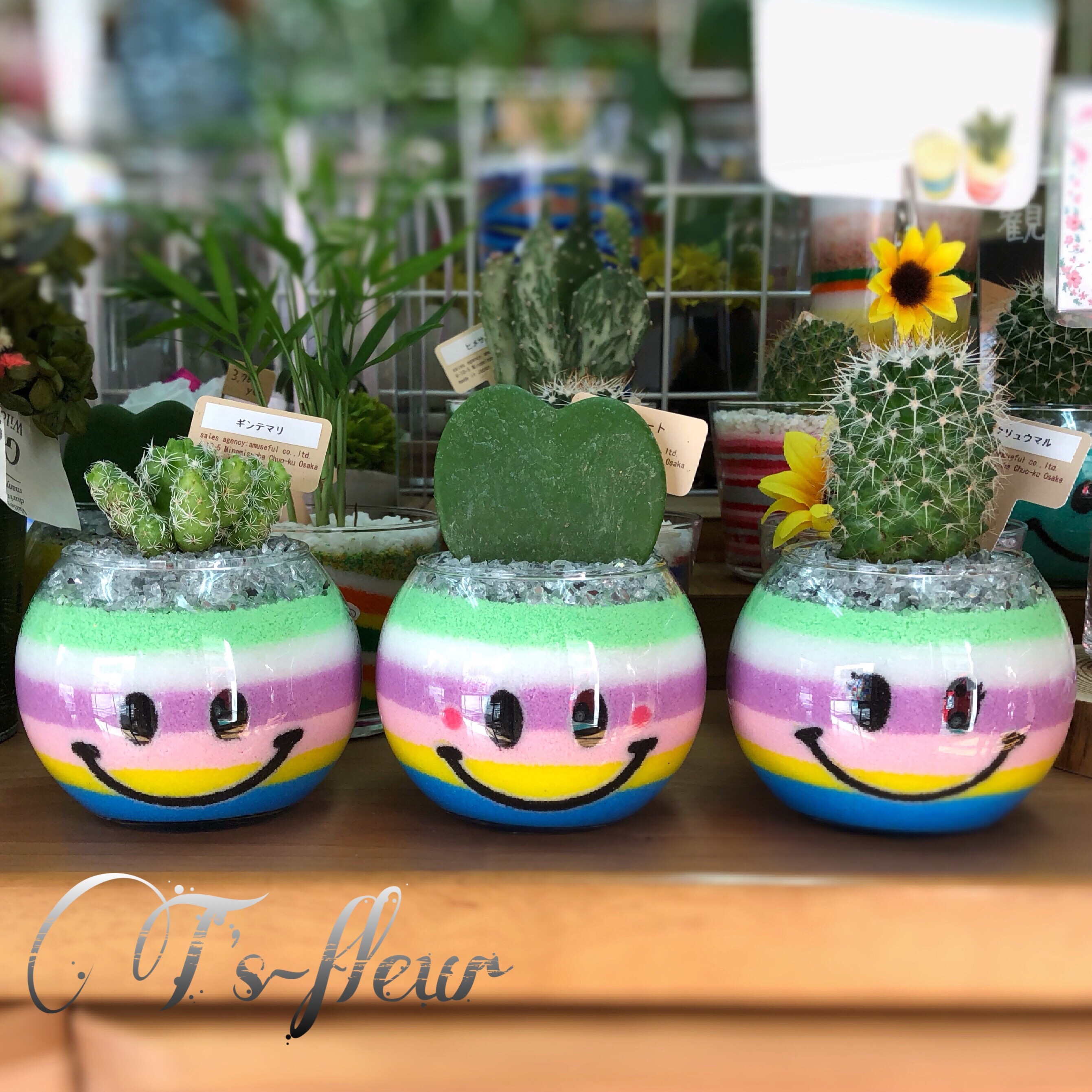 カラーサンド パステルボーダー ニコちゃん サンドアート サボテン ティーズフルール工房