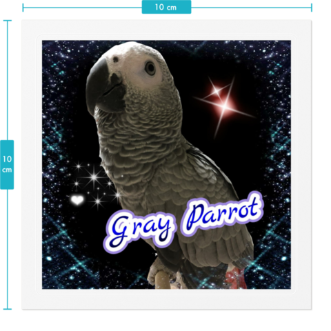 最も共有された ヨウム イラスト ヨウム イラスト 簡単