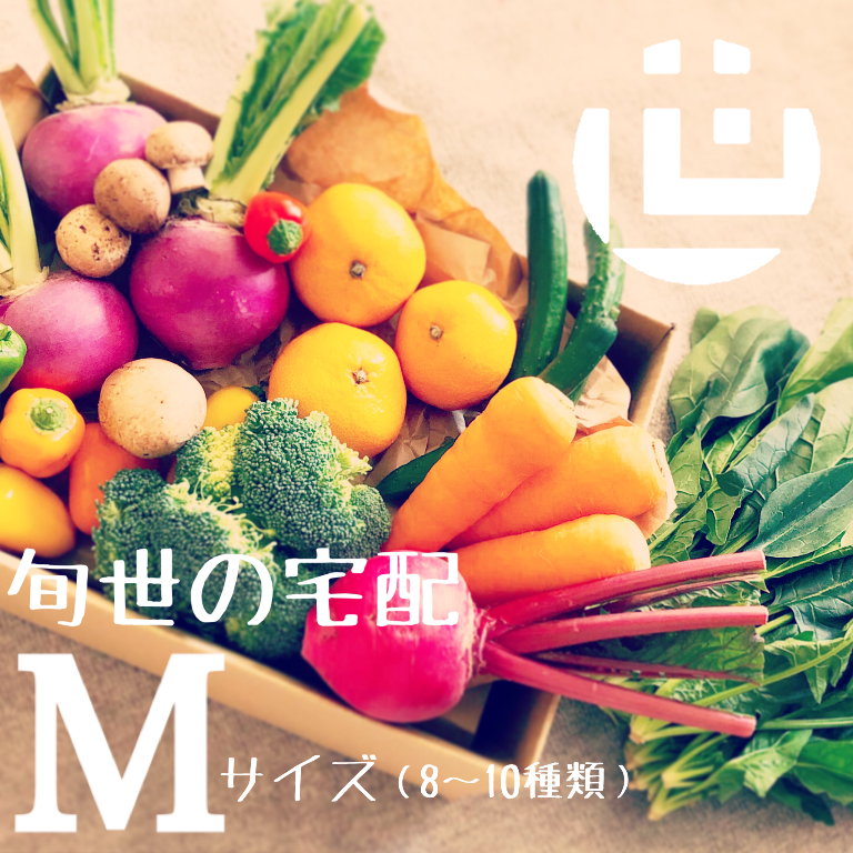 毎週 お届け 旬のお野菜 果物セット M 旬世メディアショップ