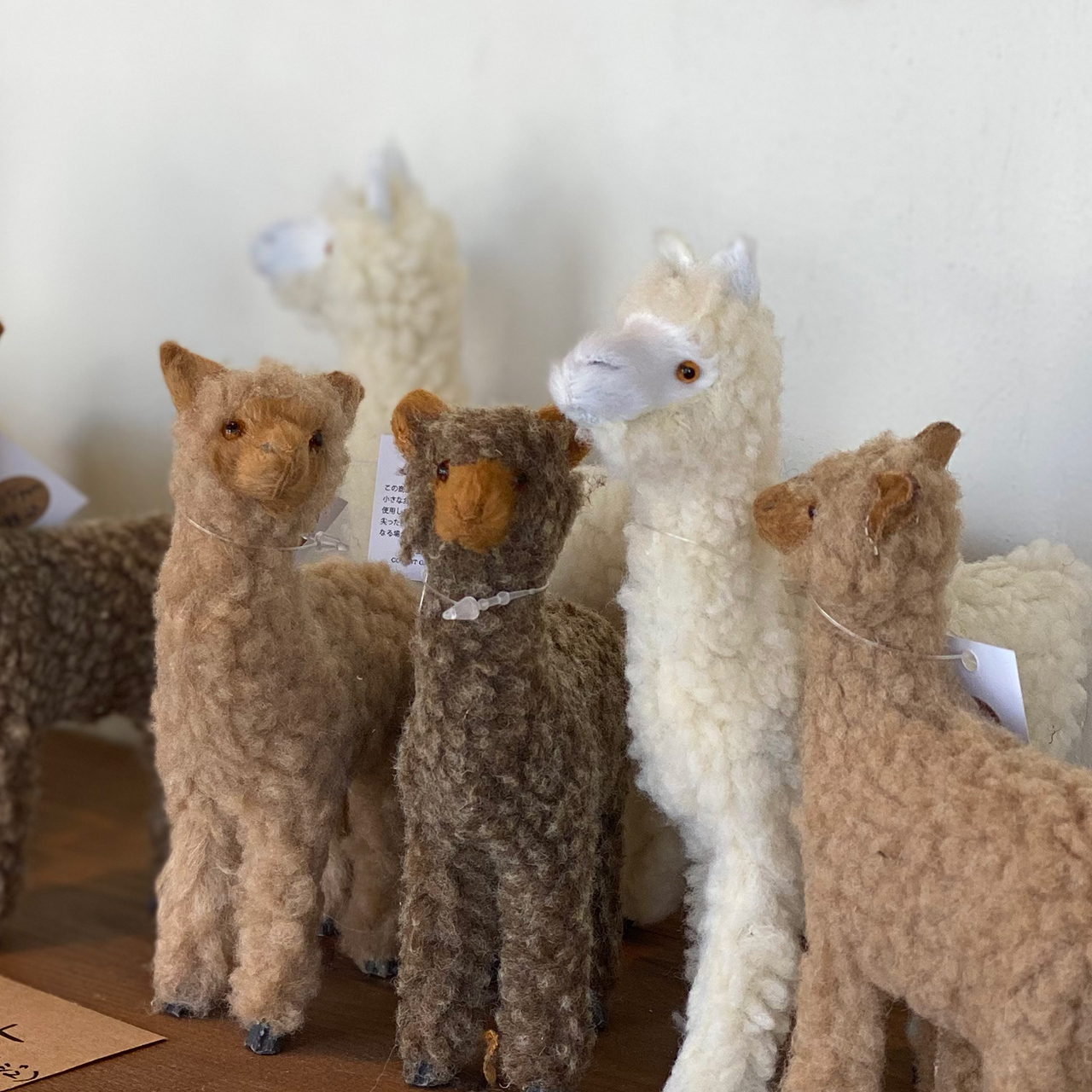 アルパカマスコット３種 Alpaca Coffee