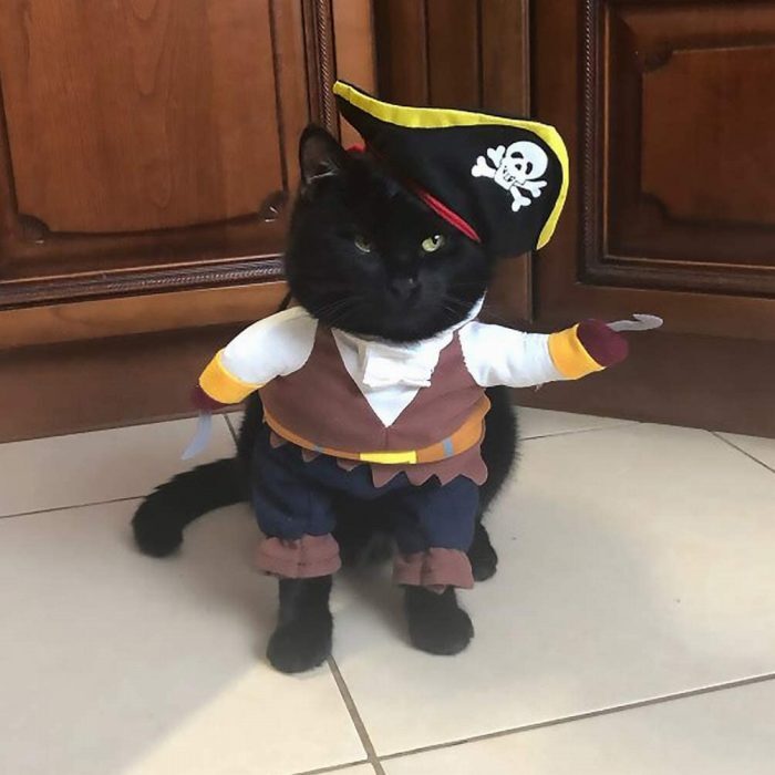 Km561g 海賊 おもしろグッズ 変装 フレンチブルドック ペット服 犬服 コスプレ 可愛い 猫服 犬用 面白い コスチューム ハロウィン 小型犬 中型犬 変身服 出掛け 撮影道具 海賊コスチューム Dearkm フレンチブルドック孔明