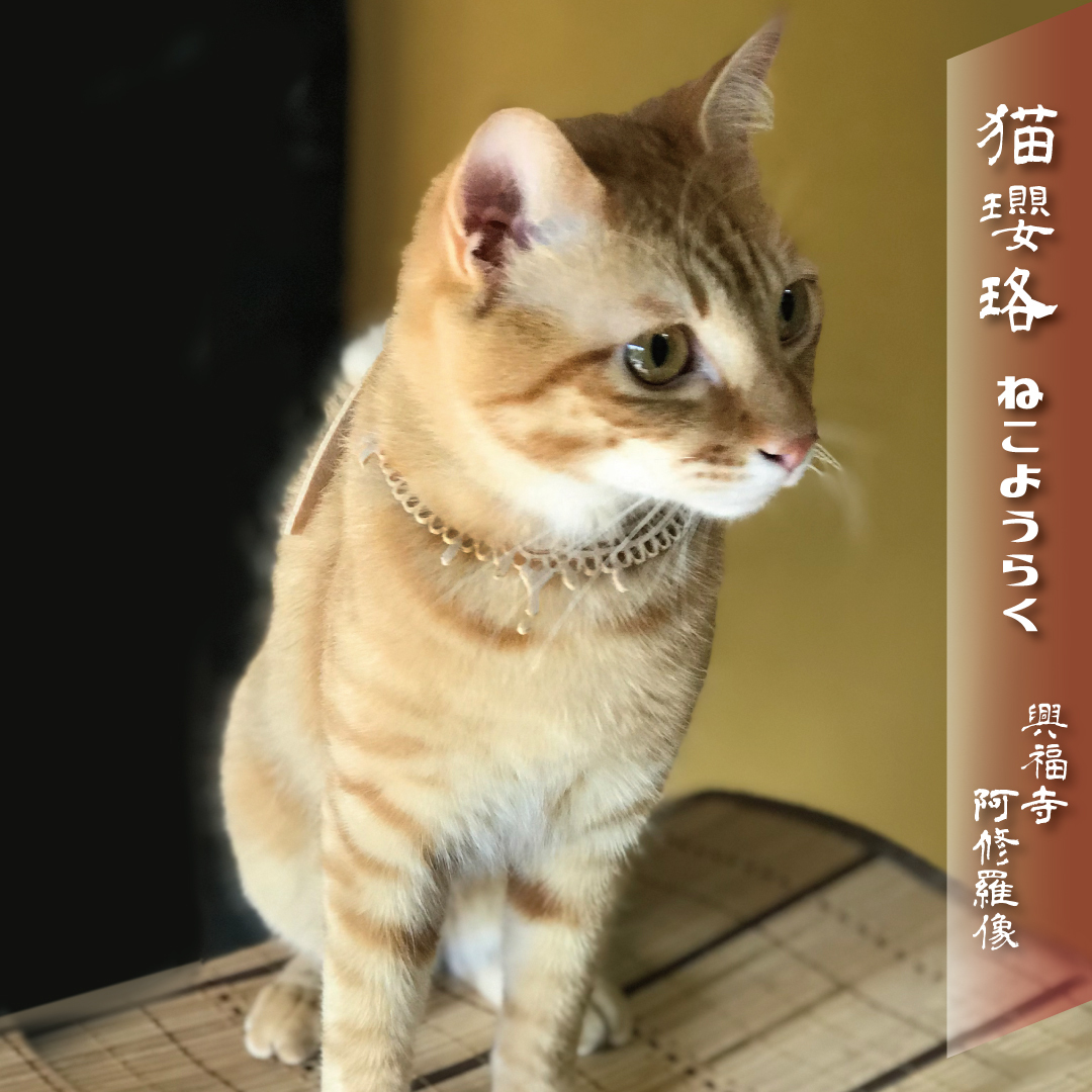 猫ようらく 仏像の首飾りデザインの猫首輪 阿修羅像デザイン Ayashige Ya