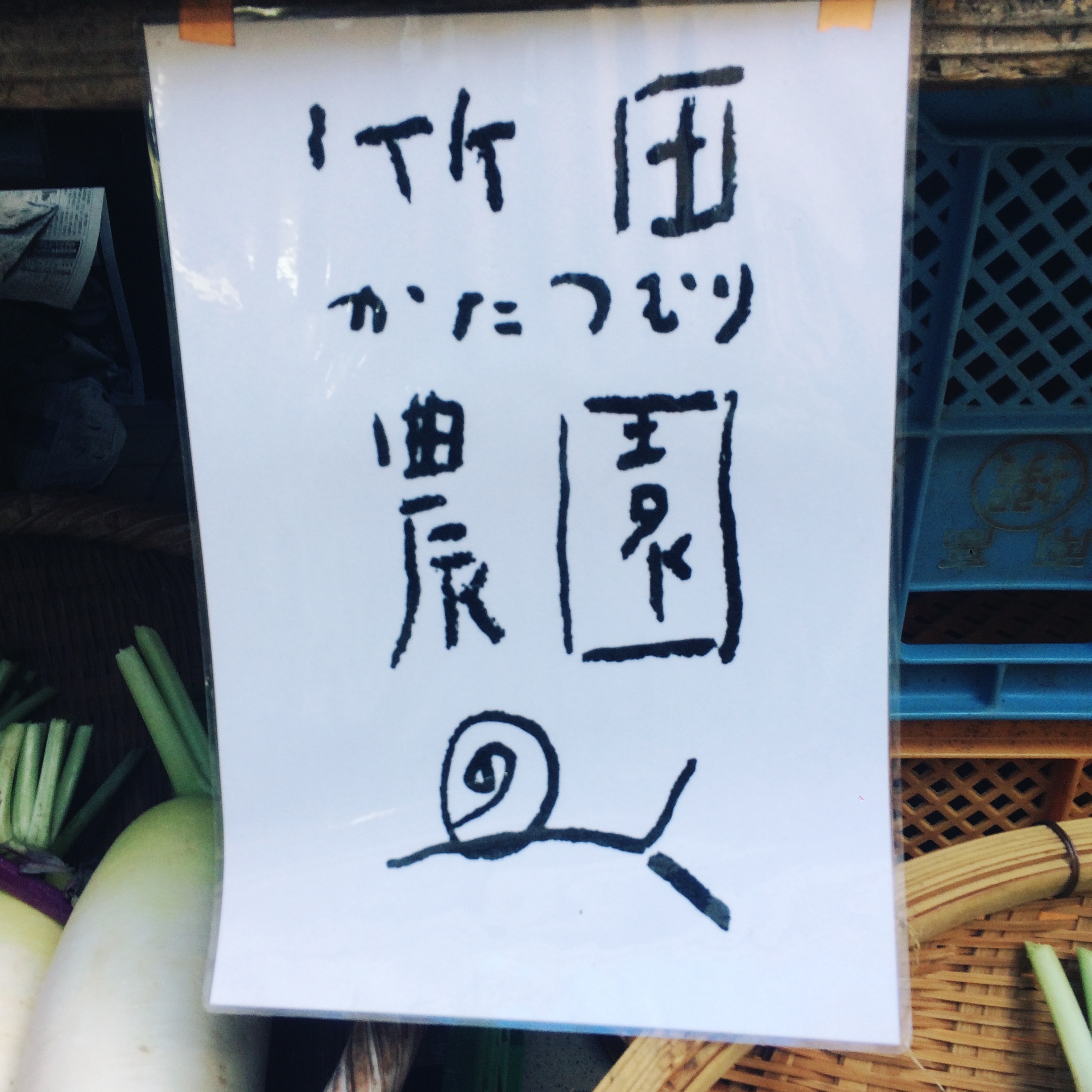 【冬野菜スタート】【毎週水曜発送】竹田かたつむり農園のたね取り野菜セット CCJネットショップ