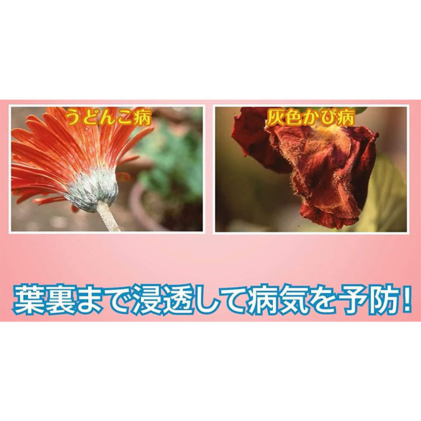 ベニカxファインスプレー 4ml 住友化学園芸 殺虫殺菌剤 多肉植物研究所