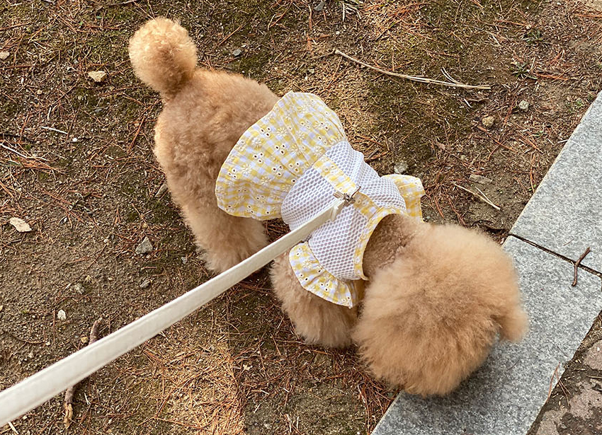 Bibi Onepiece Harness Xs Xl 3color 犬服 春夏 新作 可愛い 犬の服 ドッグウェア ハーネス お出かけ ワンピース お揃い ペット用品ショップ Nari Pet