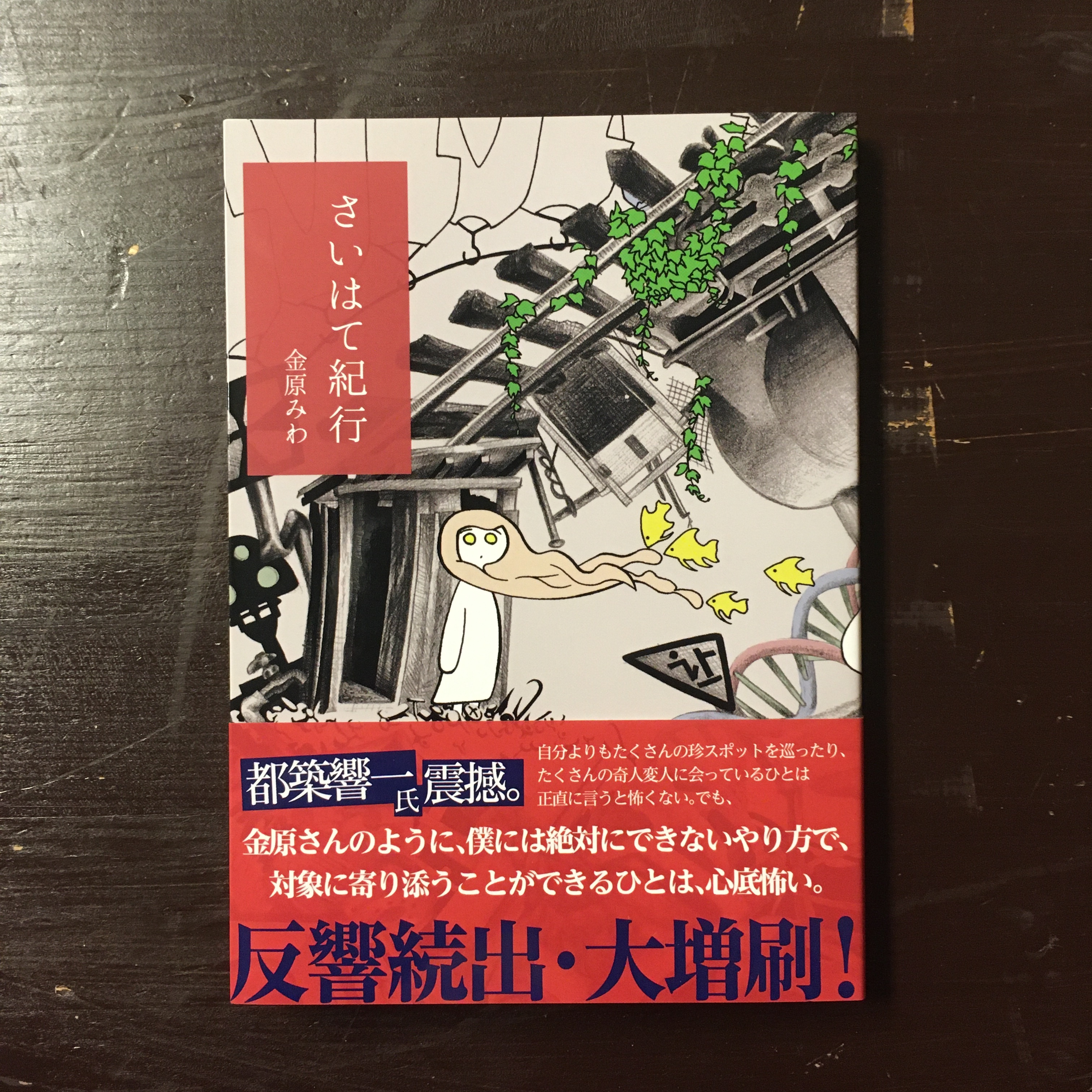 金原みわ さいはて紀行 ながいひる