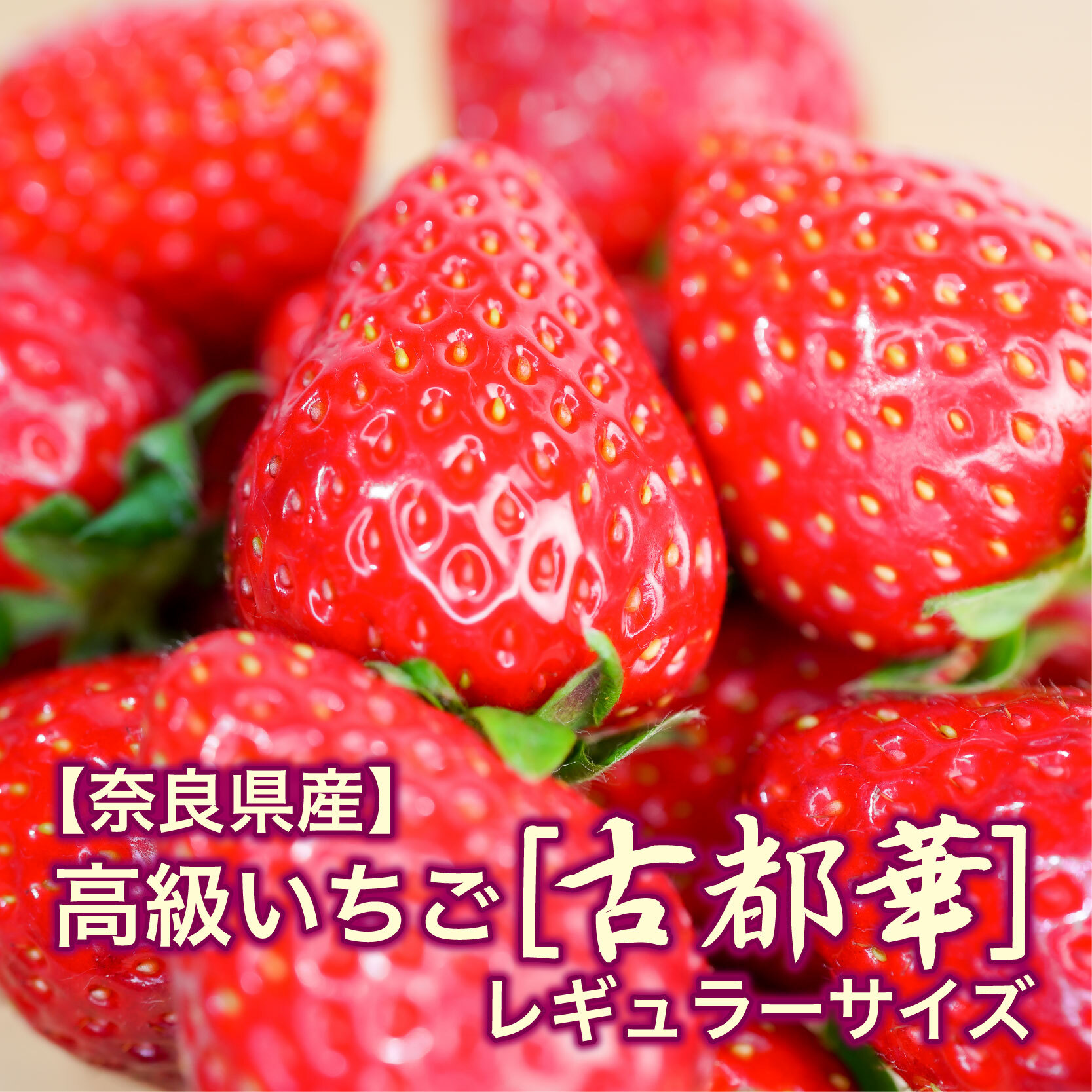 送料込 奈良県産 高級いちご 古都華 レギュラーサイズ 3月末まで 4p 大畑大介商店