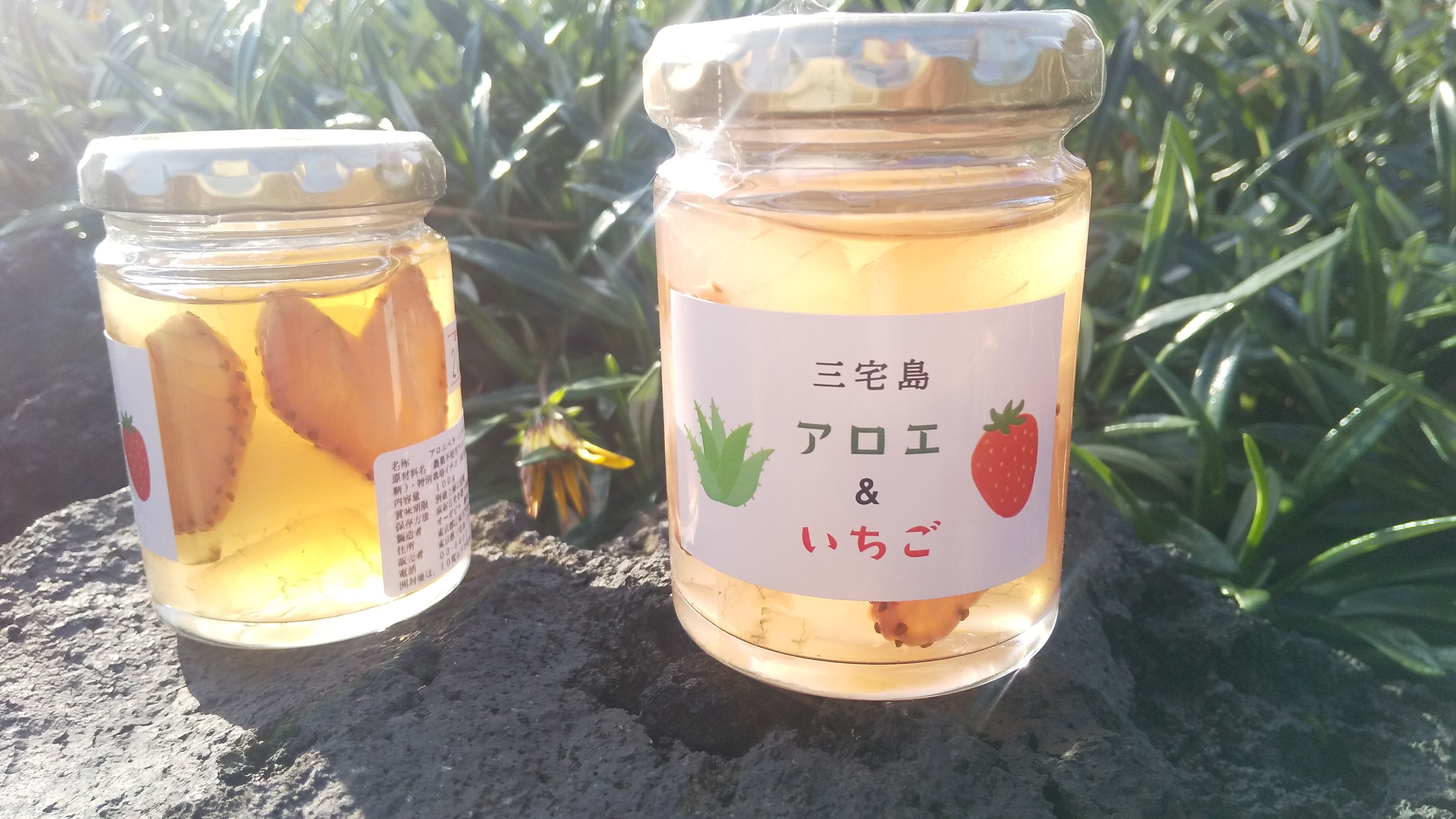 新食感 アロエ いちごシロップ漬け １瓶 汐田 ファーム