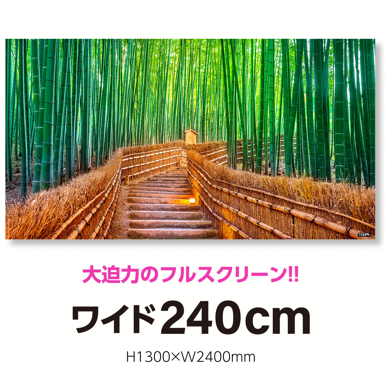 Nj 036l 超ワイド240cm H1300 W2400mm 自然 風景 日本の景色 嵐山の竹林 京都 はがせるシール付き 貼るだけでスタジオ気分 テレワーク 撮影用壁紙ポスター 貼るスタ