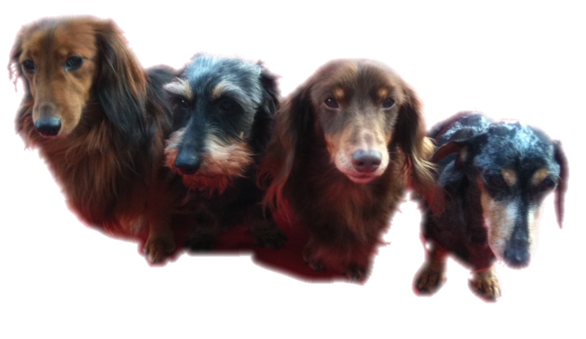 Muchiさん描き下ろし 名入れ おとな 親子でお揃いも オーダーメイド Bibelot