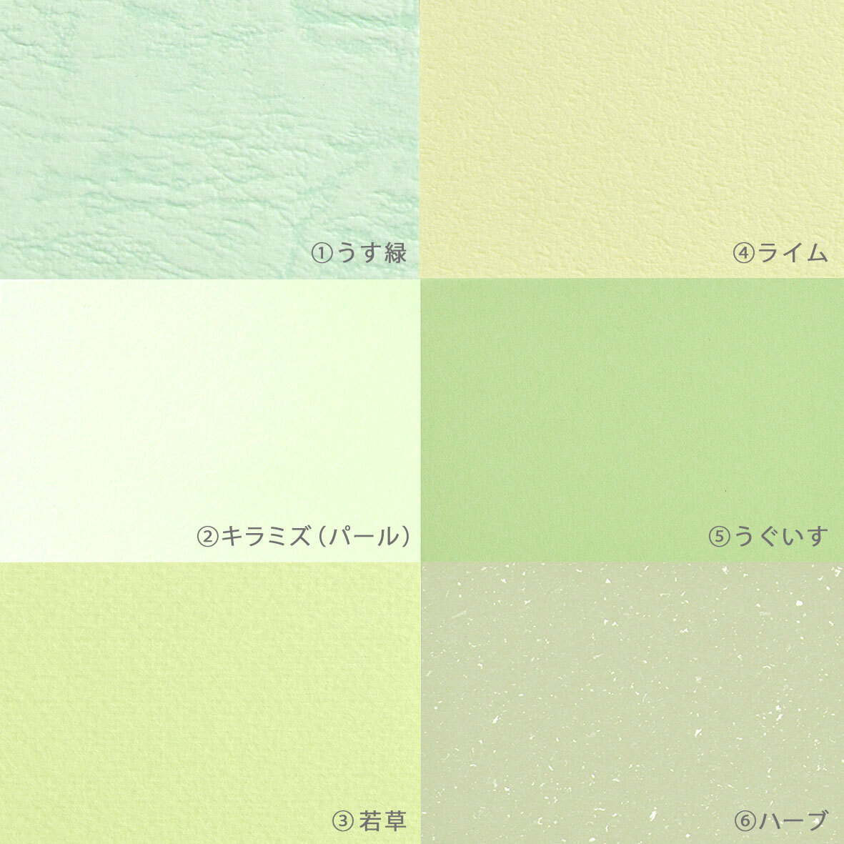 だいし屋が選ぶ紙 ピスタチオグリーン カード 47 67mm 100枚 A064 だいし屋