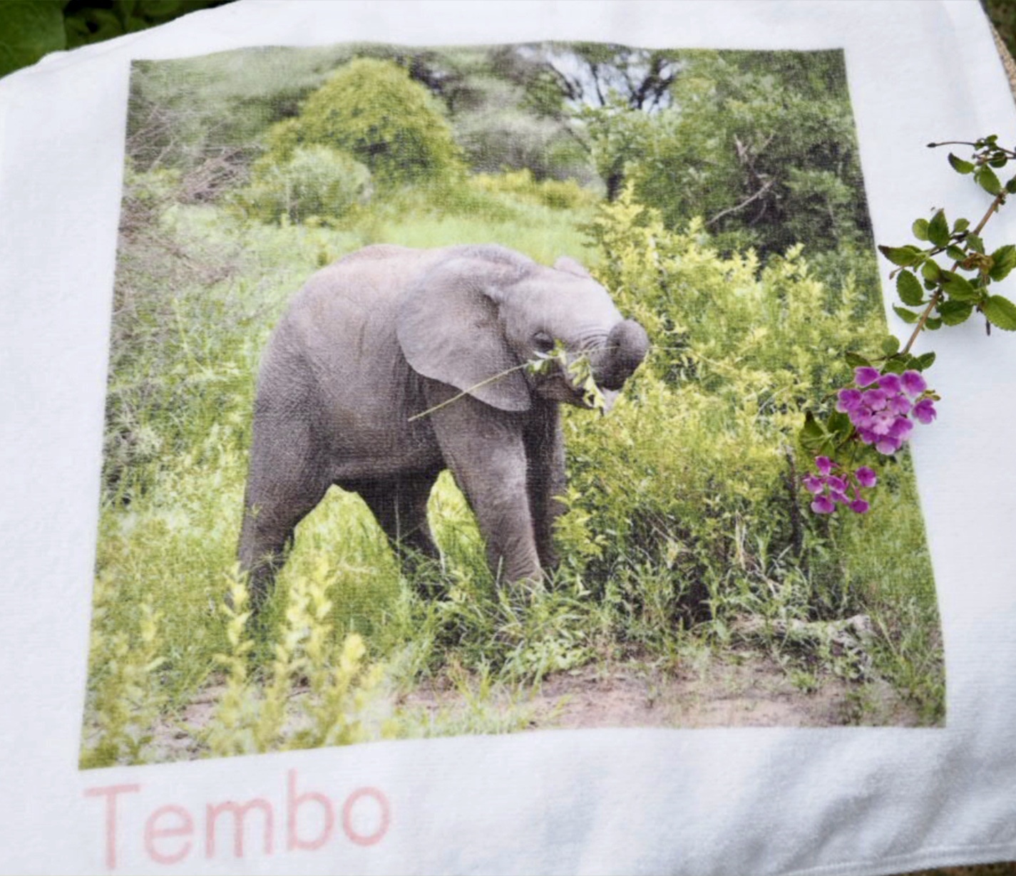 ミニタオル アフリカゾウ おしゃれなマスクやオリジナルtシャツ等にタンザニア動物をプリントした商品販売 Tembo テンボ