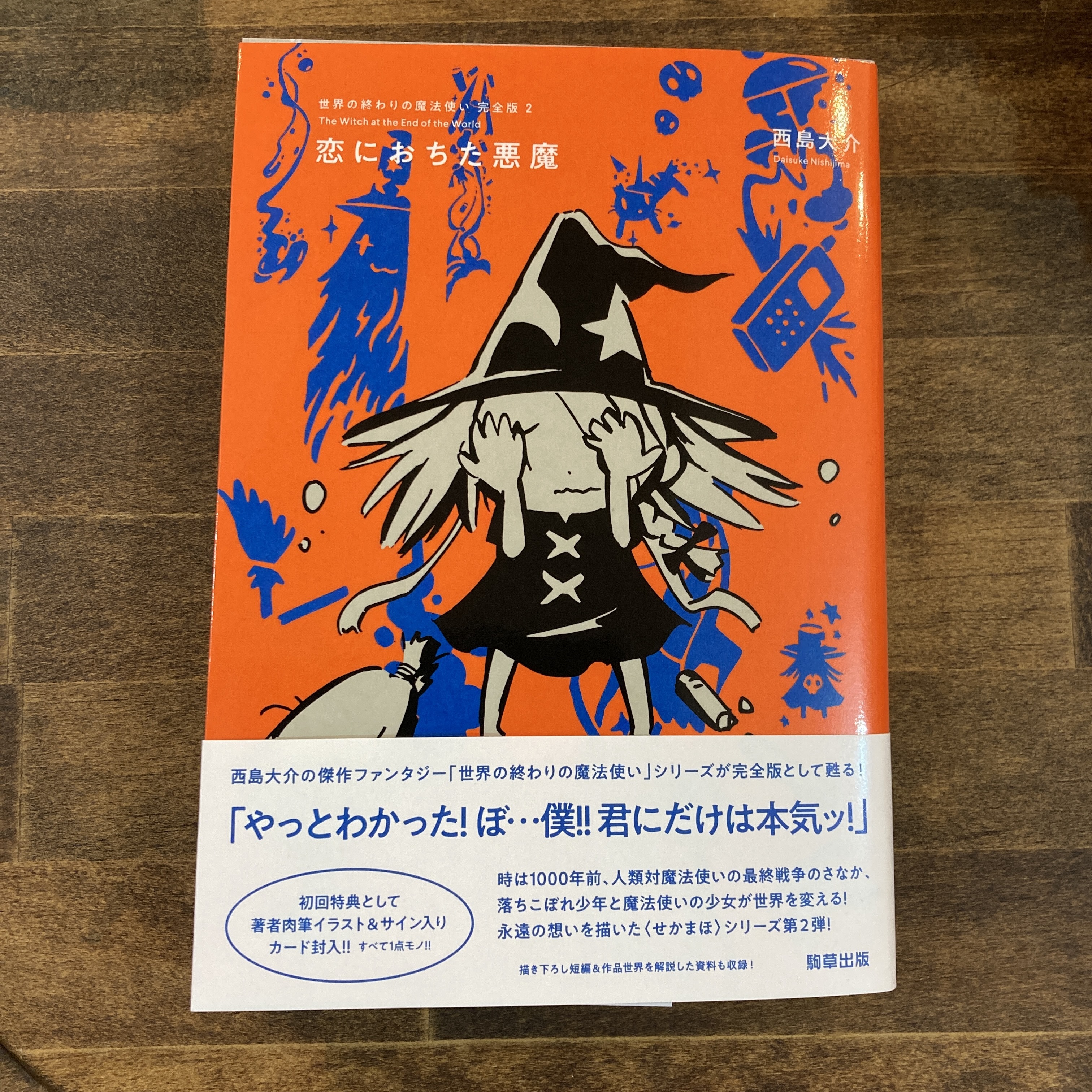 新刊 世界の終わりと魔法使い 完全版2 著 西島大介 駒草出版 双子のライオン堂 書店