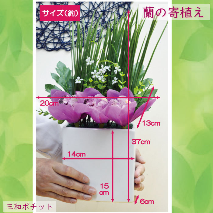造花 花 蘭 寄せ植え 5342 806 フェイクグリーン インテリアグリーン インテリア 置物 オブジェ ディスプレイ ギフト リビング 玄関 豪華 上品 三和ポチット