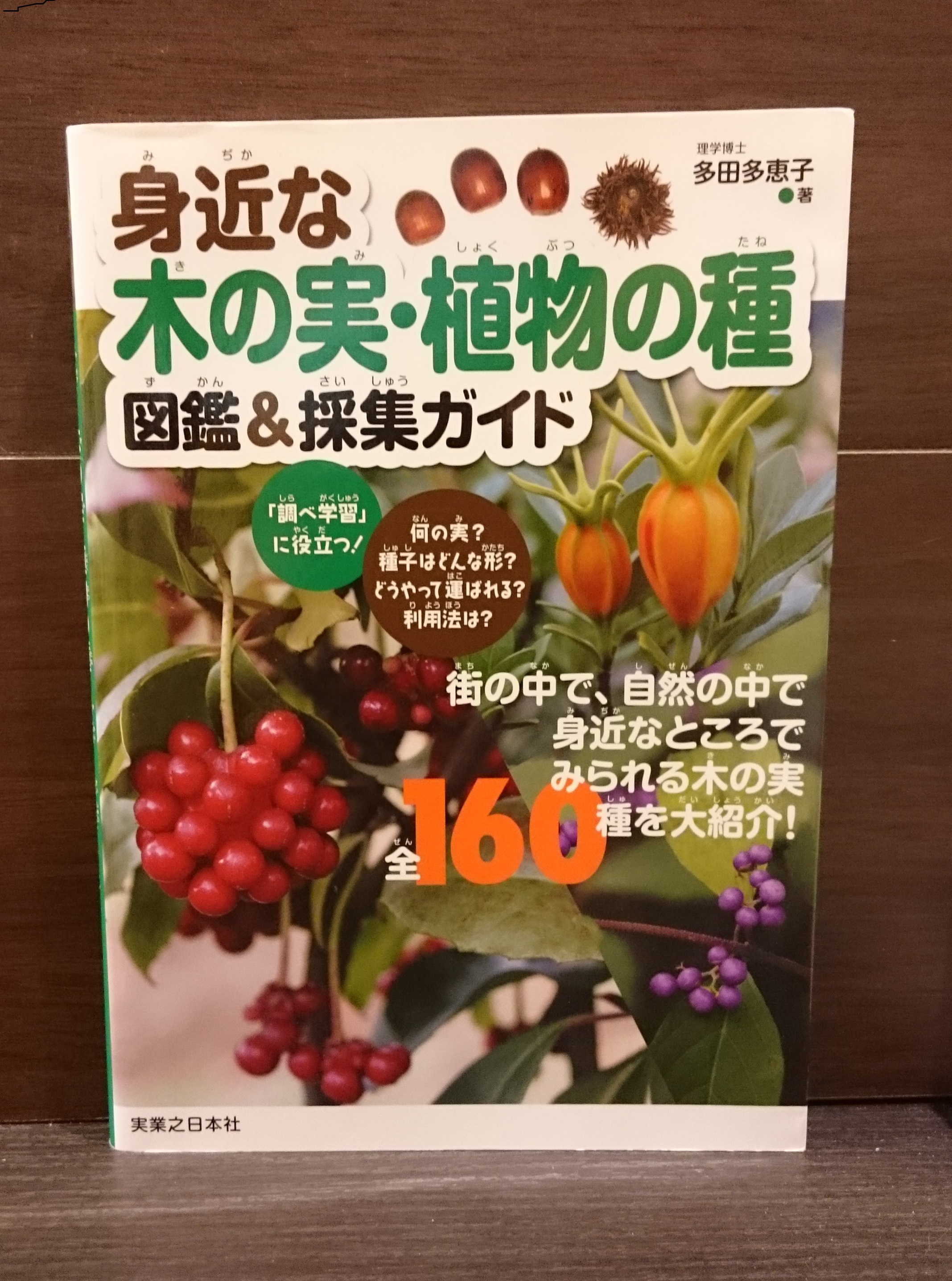 身近な木の実 植物の種 図鑑 採集ガイド 弥生坂 緑の本棚