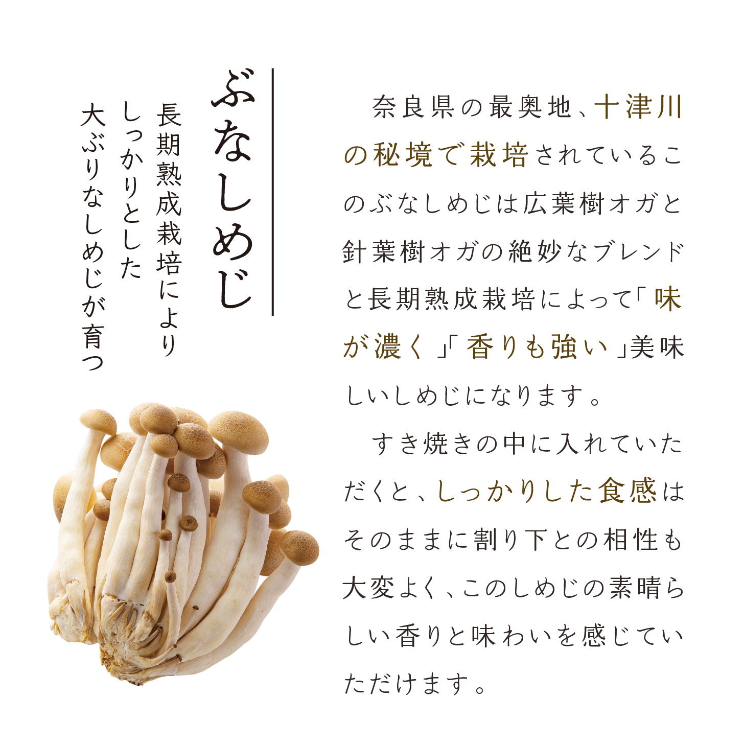 コンプリート すき焼き しめじ すき焼き に しめじ