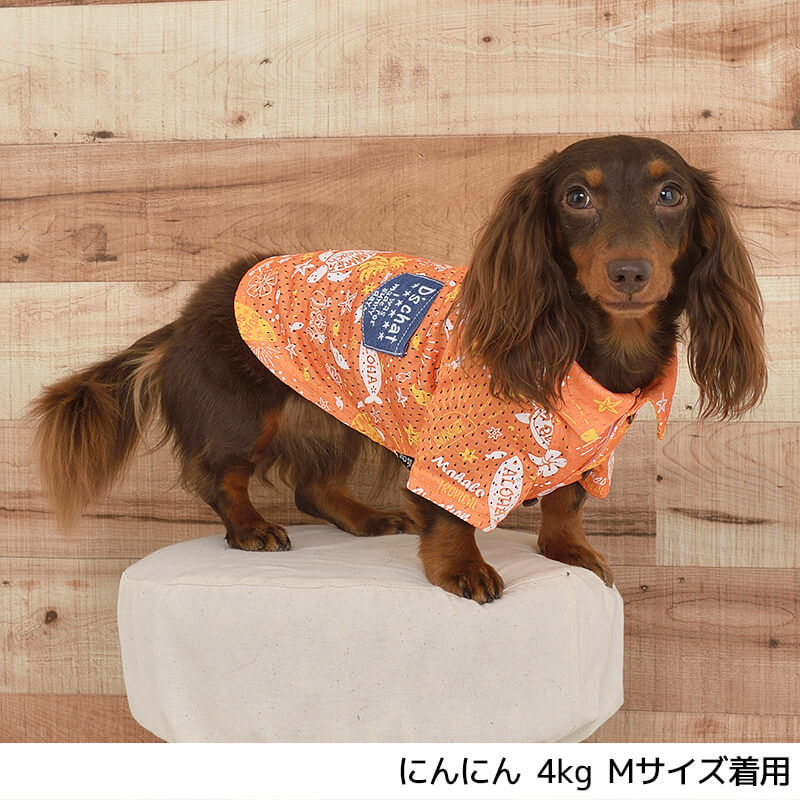 アロハメッシュシャツ Os Om Ol D S Chat ディーズチャット 犬服 ドッグウェア ラブラドールレトリバー ゴールデンレトリバー シベリアンハスキー Ds21ss Ds1587 4 Wan Voyage ワンボヤージュ お洒落なドッグウェア 犬服のお店