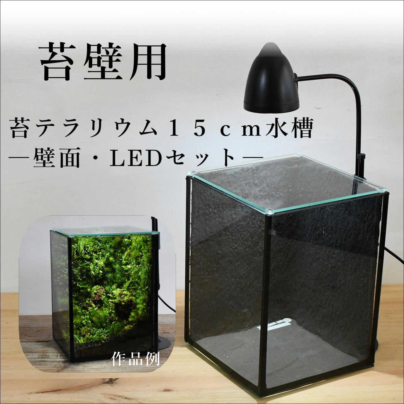 ガラス容器 苔壁用 苔テラリウム用 15cmガラス水槽 150ｘ150ｘｈ0mm 壁面 Ledライト付き 苔テラリウム専門ショップ道草