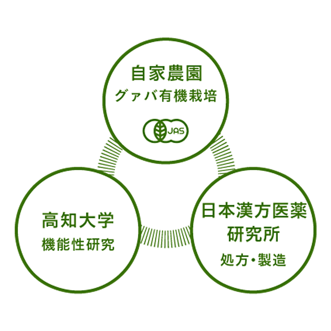 天海のしずく オーガニック 化粧水 1ml ヘチマ水 グァバ ローション 防腐剤無添加 ノンケミカル 化粧品 オーガニックストア麻布島崎屋