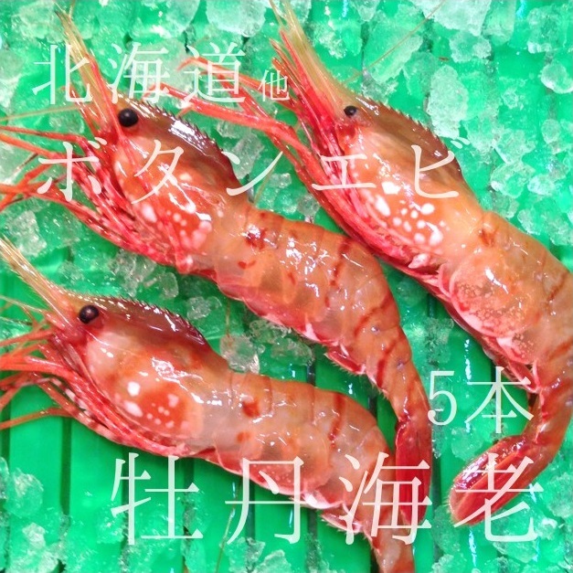 生 最高級ボタンエビ 海老 北海道産 約60g 大サイズ 約5尾 刺身ok 豊洲直送 生ボタンエビx5本 冷蔵 Okawari 豊洲直送の高級海産物をお届け