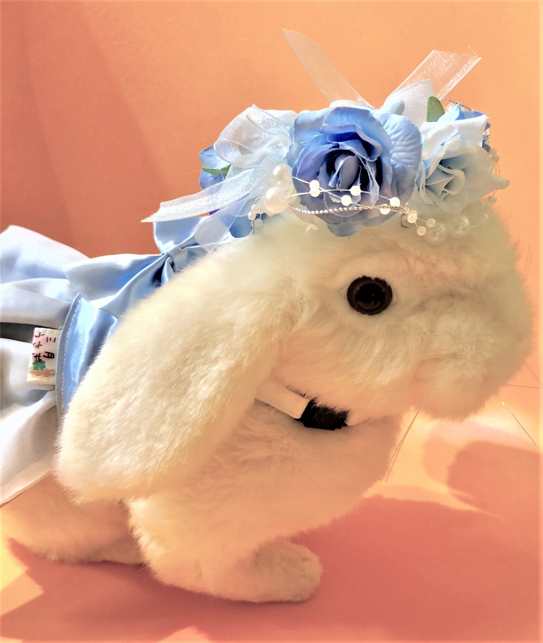 花かんむり パ ル うさぎセレクトショップ森音 東京神田のうさぎ雑貨