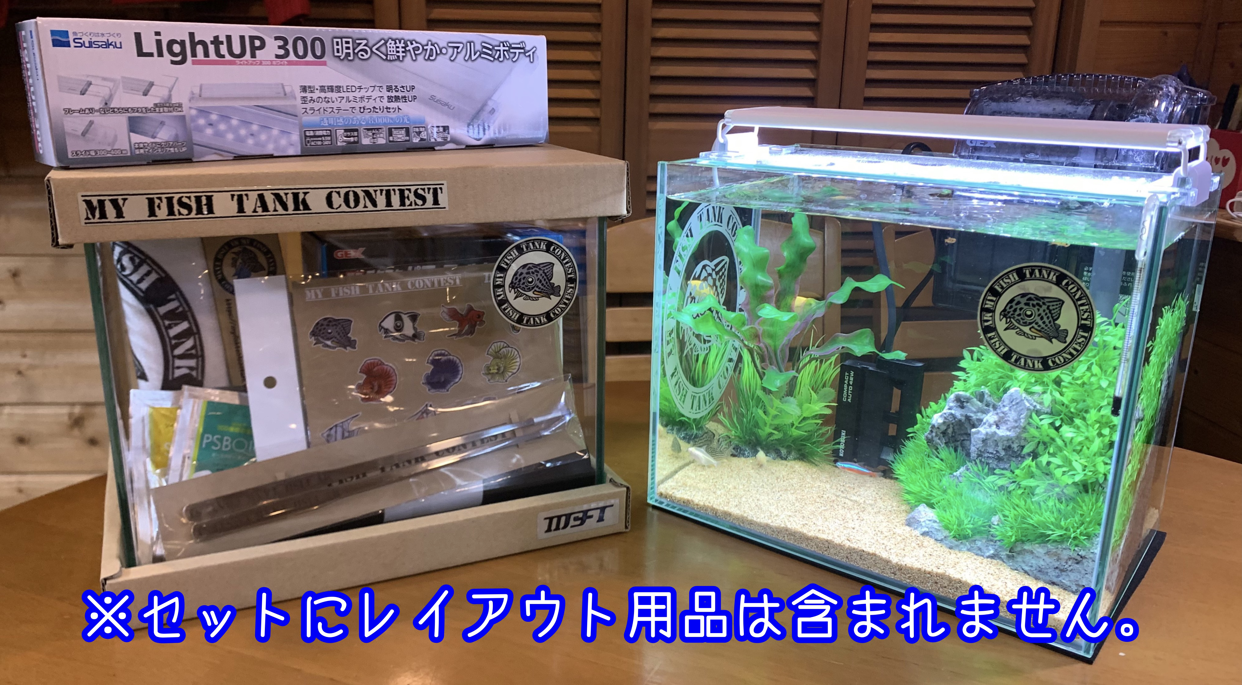 Mft Official 初心者応援 オリジナル熱帯魚飼育セット 送料無料 Mft Official Shop