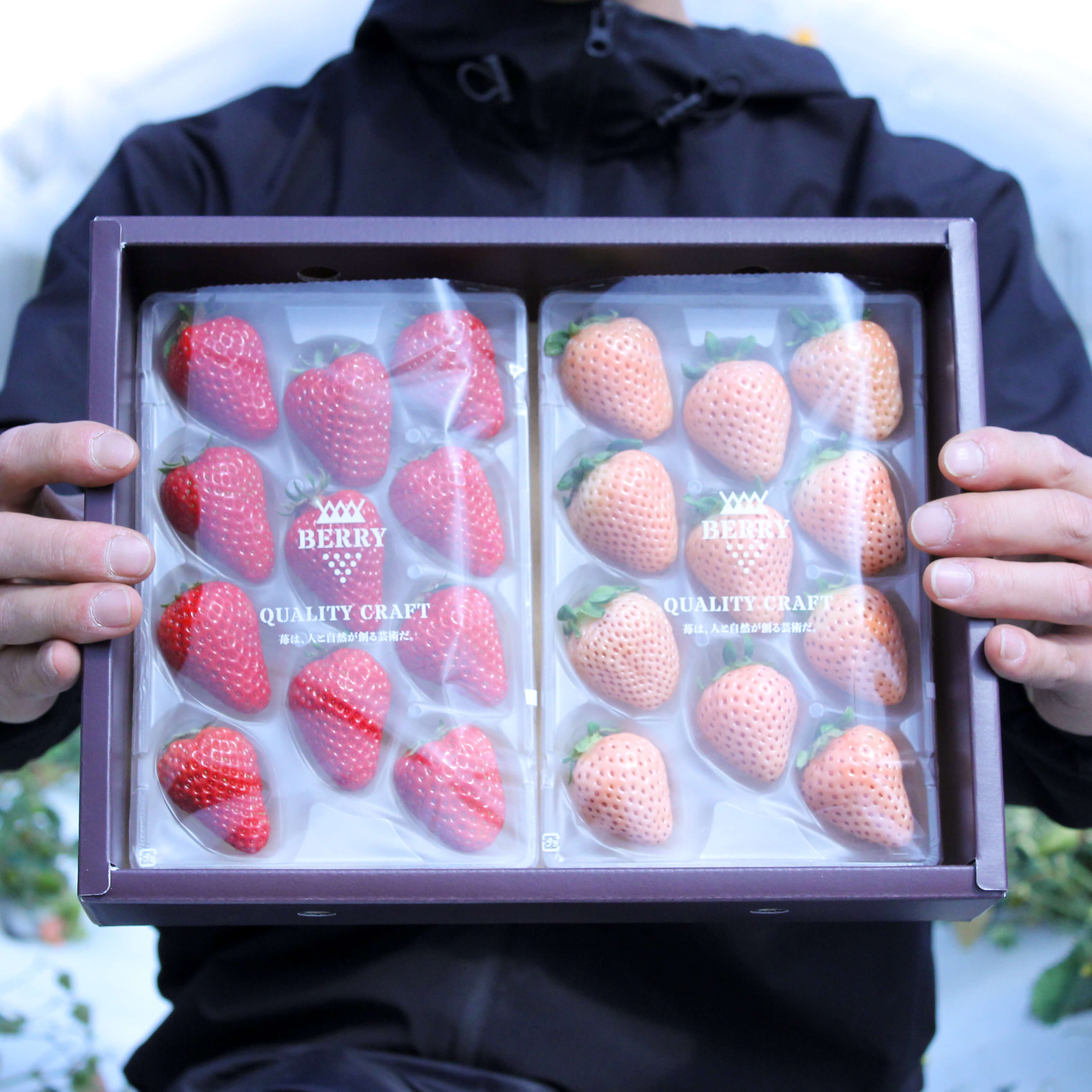 完熟紅白いちご 紅ほっぺ 淡雪 セット 伊賀農園直送 Berry ベリー 公式オンラインショップ 苺は人と自然が創る 芸術 だ